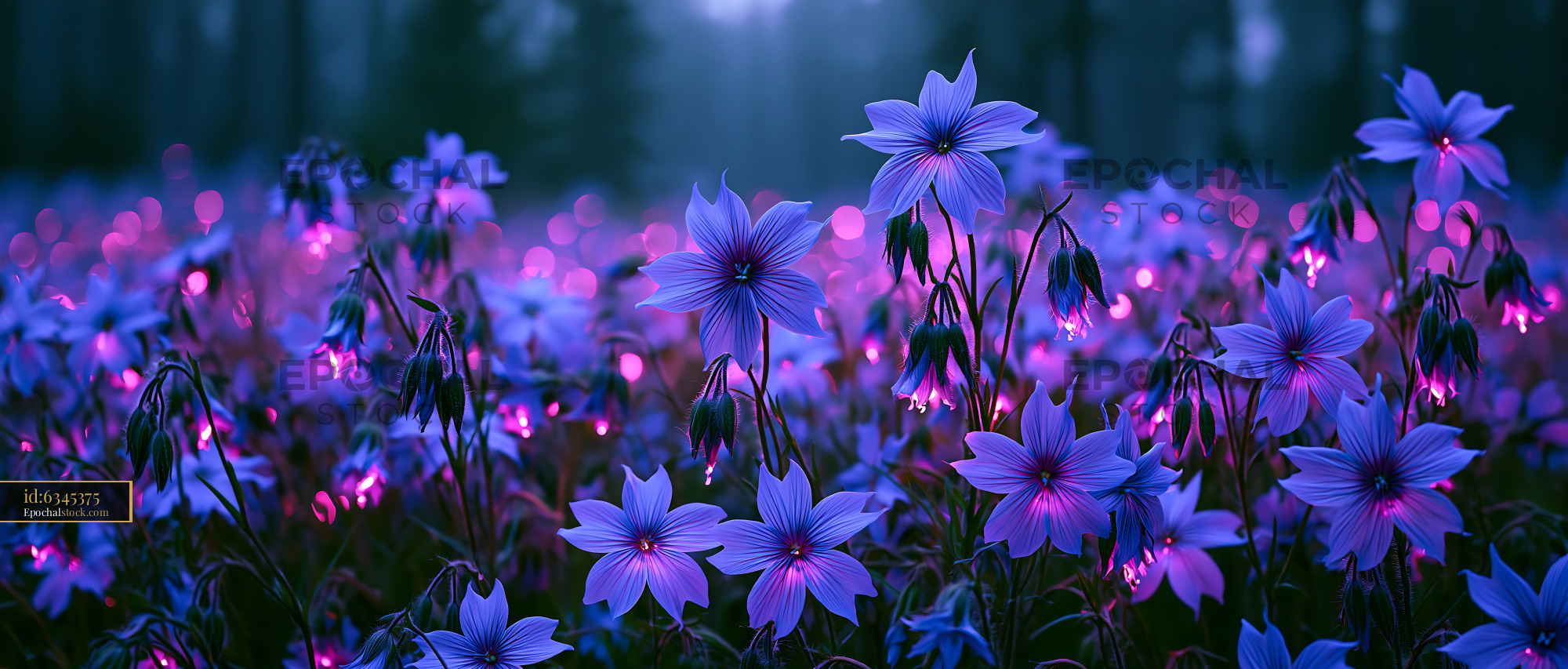 Watermarked full-resolution preview of Colorful flowers in a forest during twilight