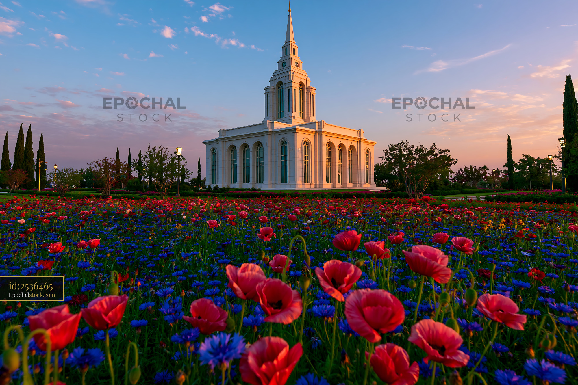 Watermarked full-resolution preview of Church building surrounded by colorful flowers at sunset