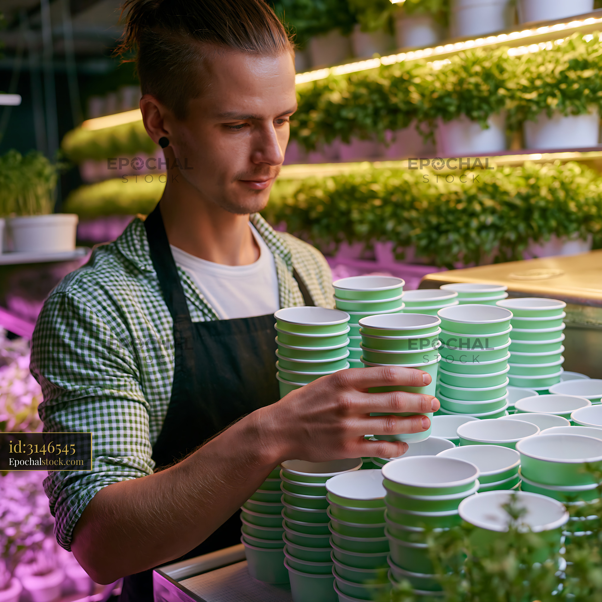 Watermarked full-resolution preview of Man organizing green cups in a plant shop