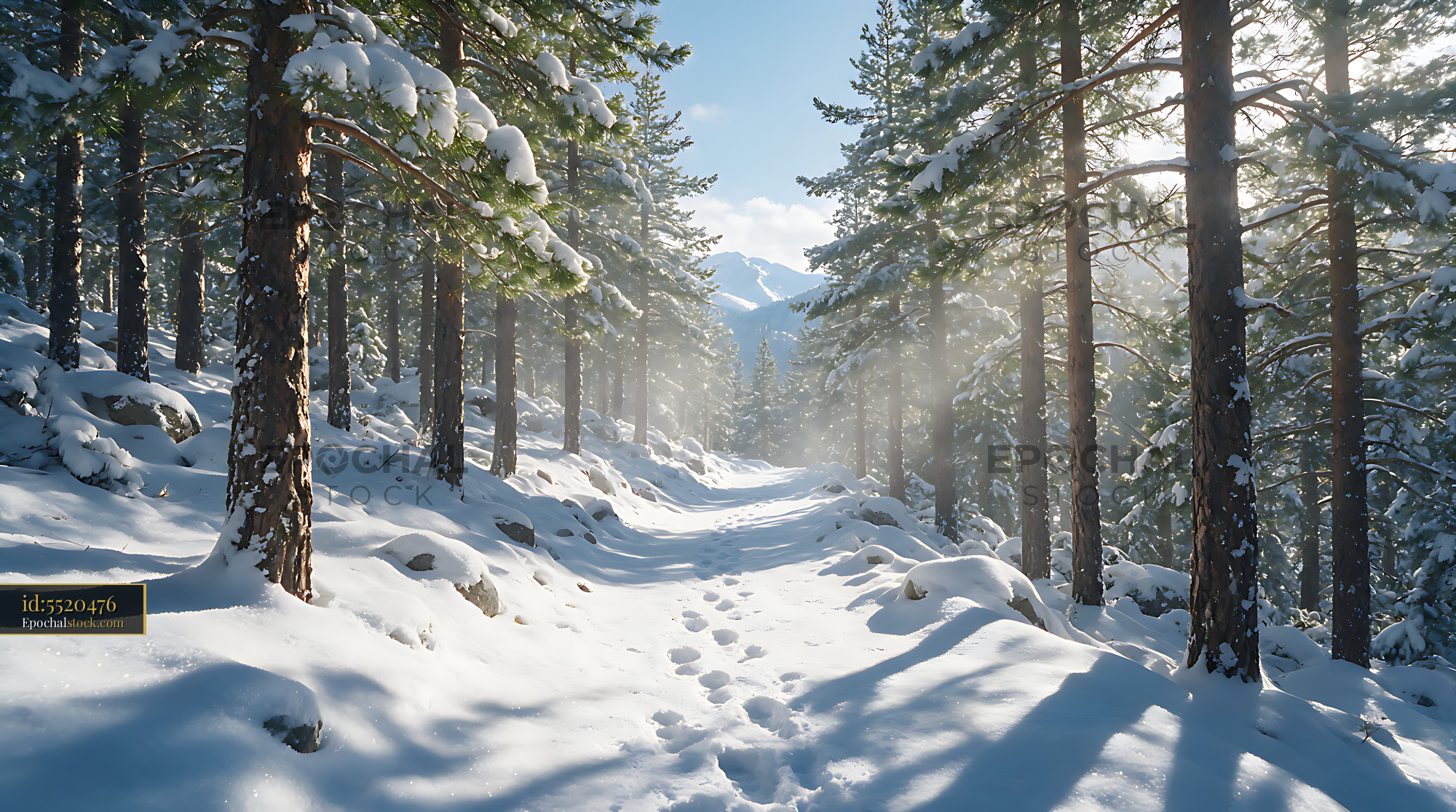 Watermarked full-resolution preview of Winter mountain path among snow-covered pine trees