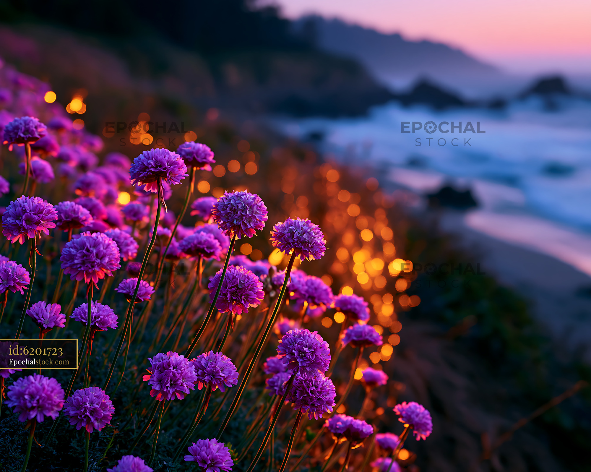 Watermarked full-resolution preview of Vibrant purple flowers along a coastal shore at sunset