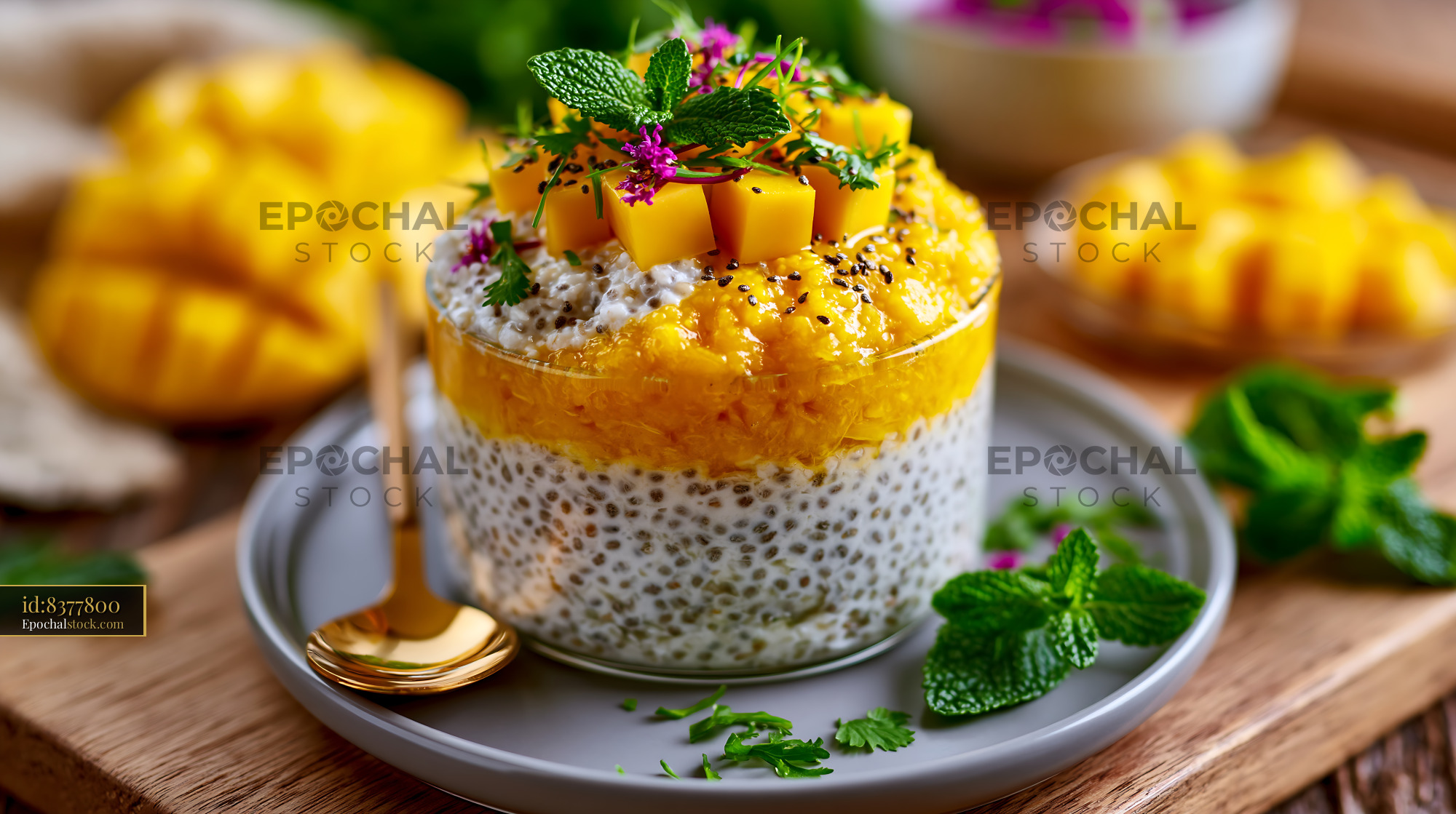 Watermarked full-resolution preview of Chia seed pudding topped with mango and mint on a plate