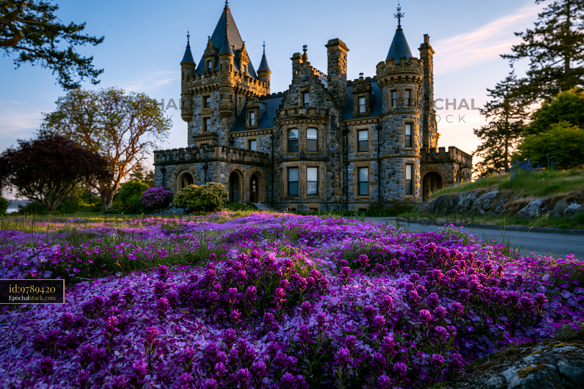 Watermarked full-resolution preview of Elegant mansion surrounded by blooming purple flowers