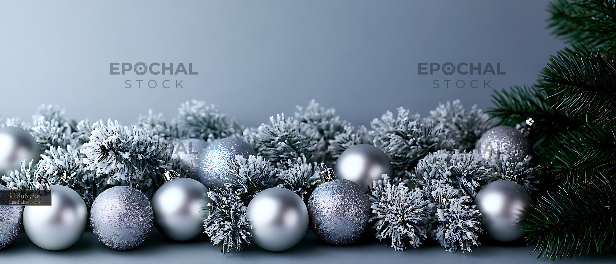 Watermarked full-resolution preview of Frosted evergreen branches with silver holiday baubles