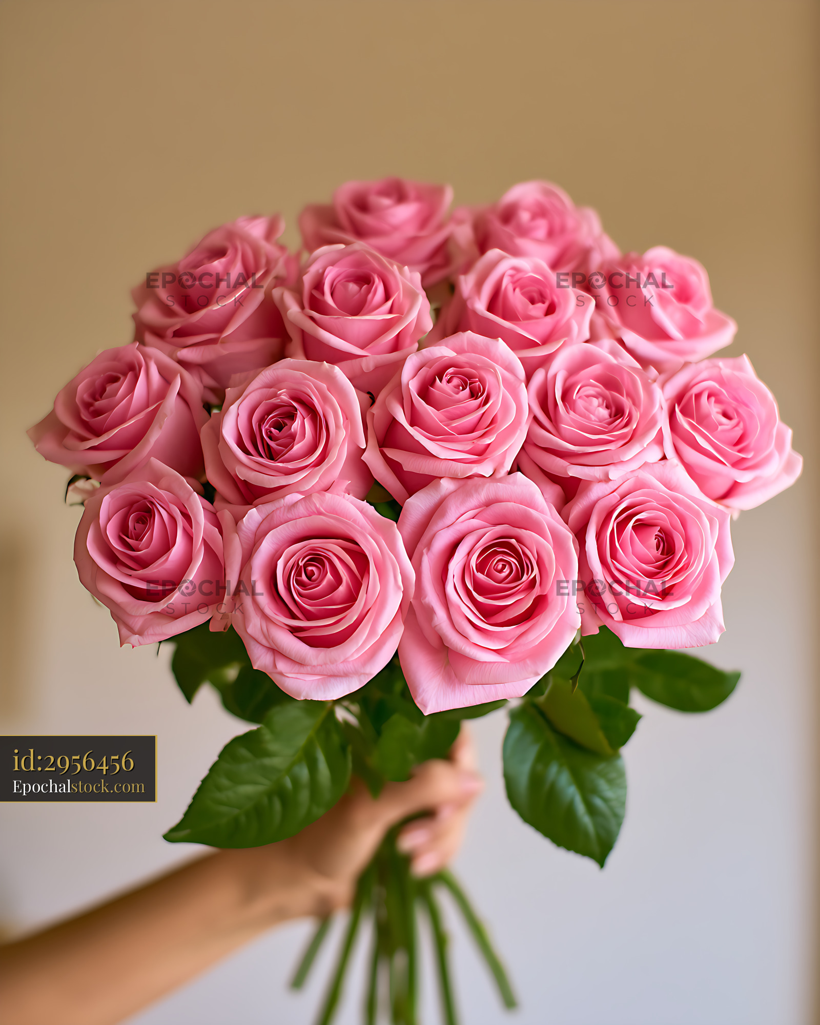 Watermarked full-resolution preview of Pink rose bouquet held by hand