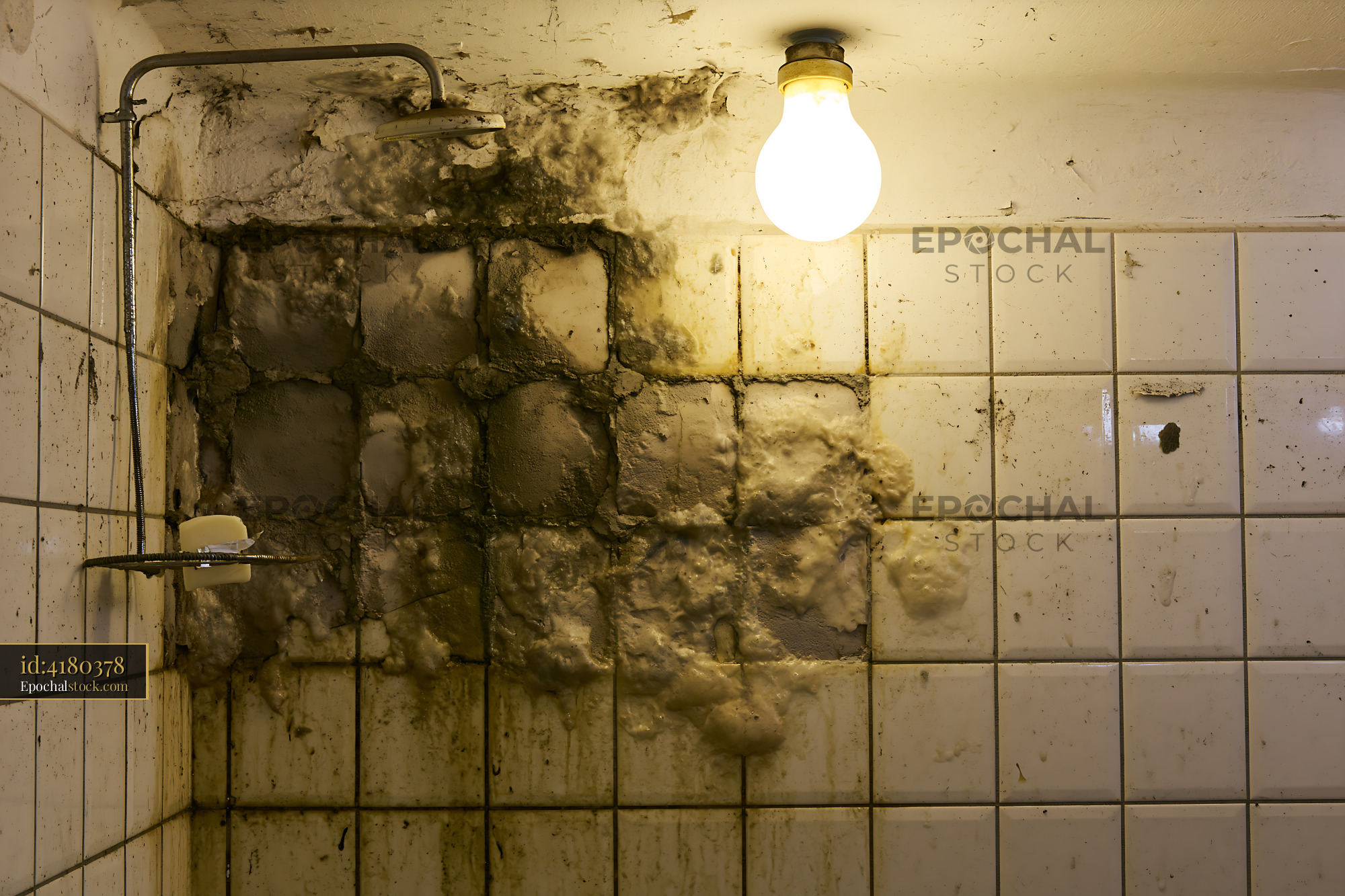 Watermarked full-resolution preview of Mold and dirt in a bathroom shower area