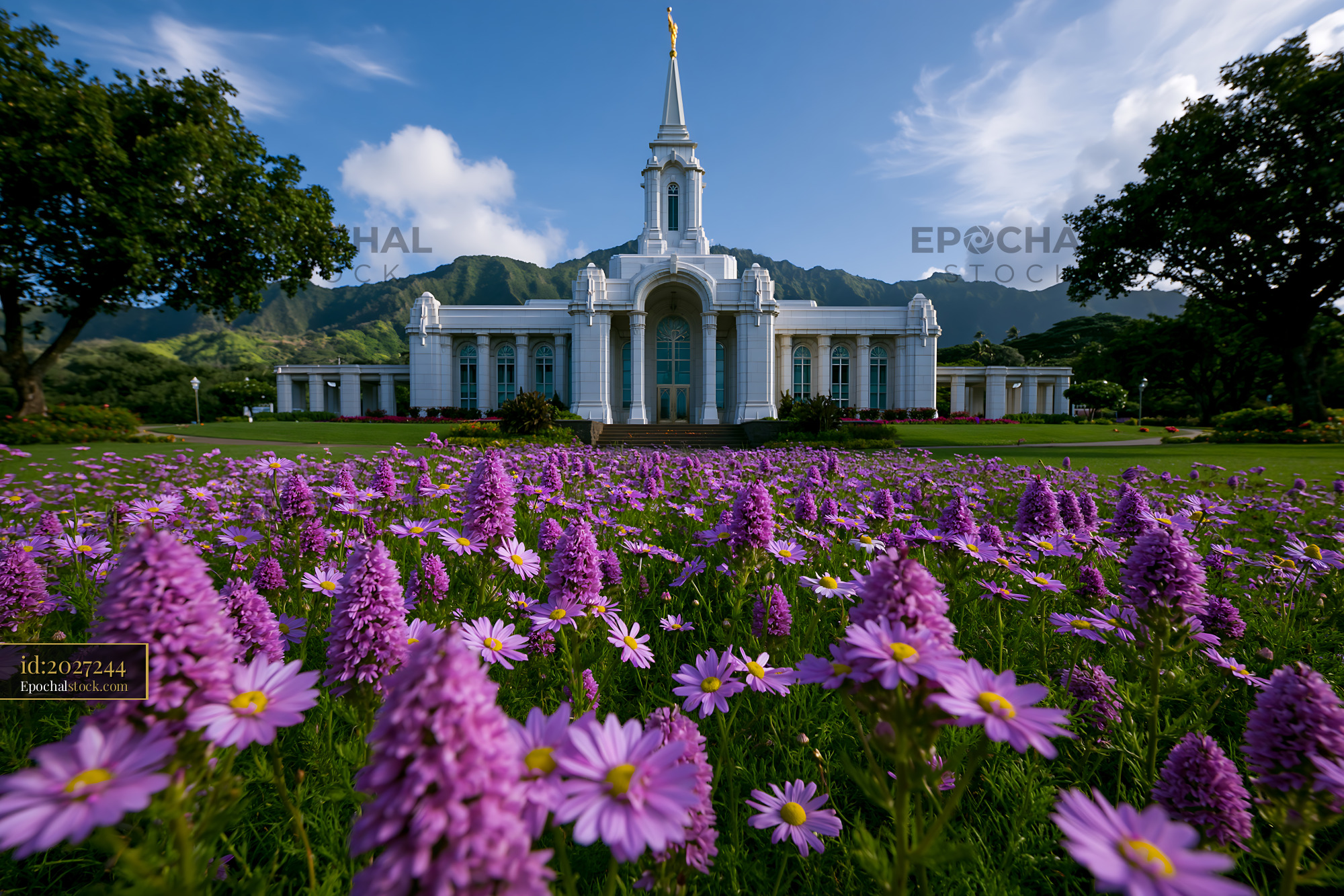 Watermarked full-resolution preview of White building with tall spire surrounded by purple flowers