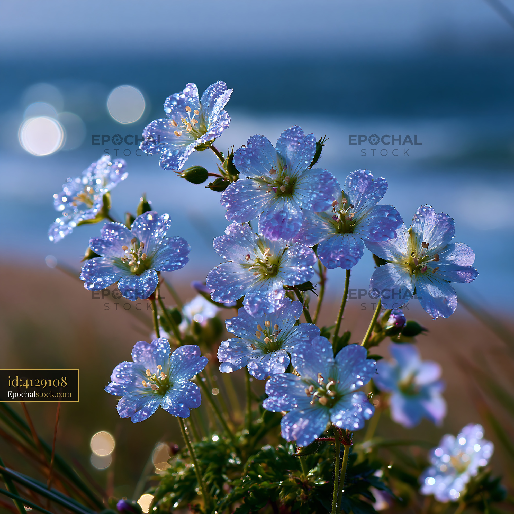 Flowers With Droplets in Sunlight Near the Ocean Shore - stock photo