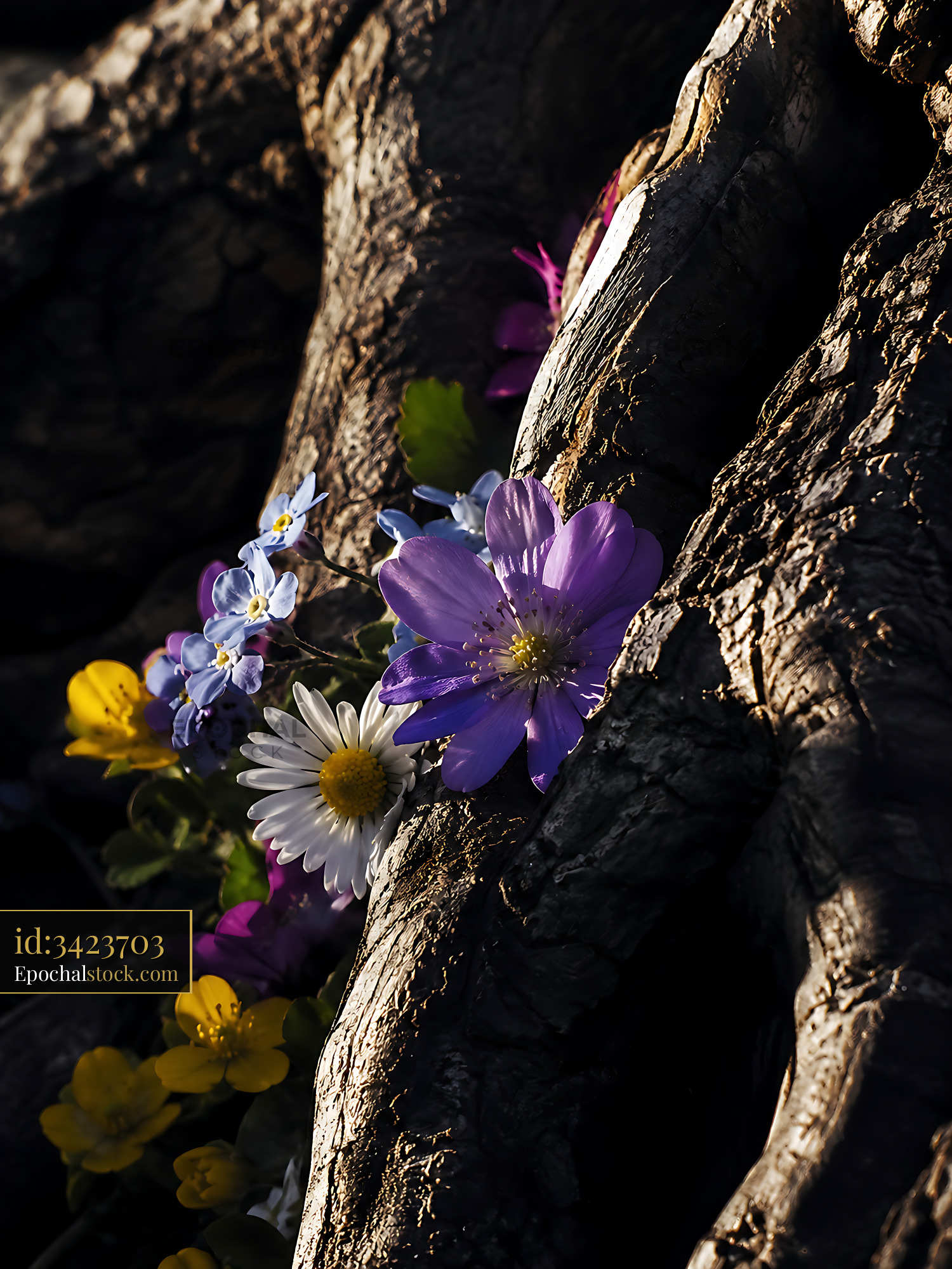 Watermarked full-resolution preview of Flowers growing on tree roots in natural setting