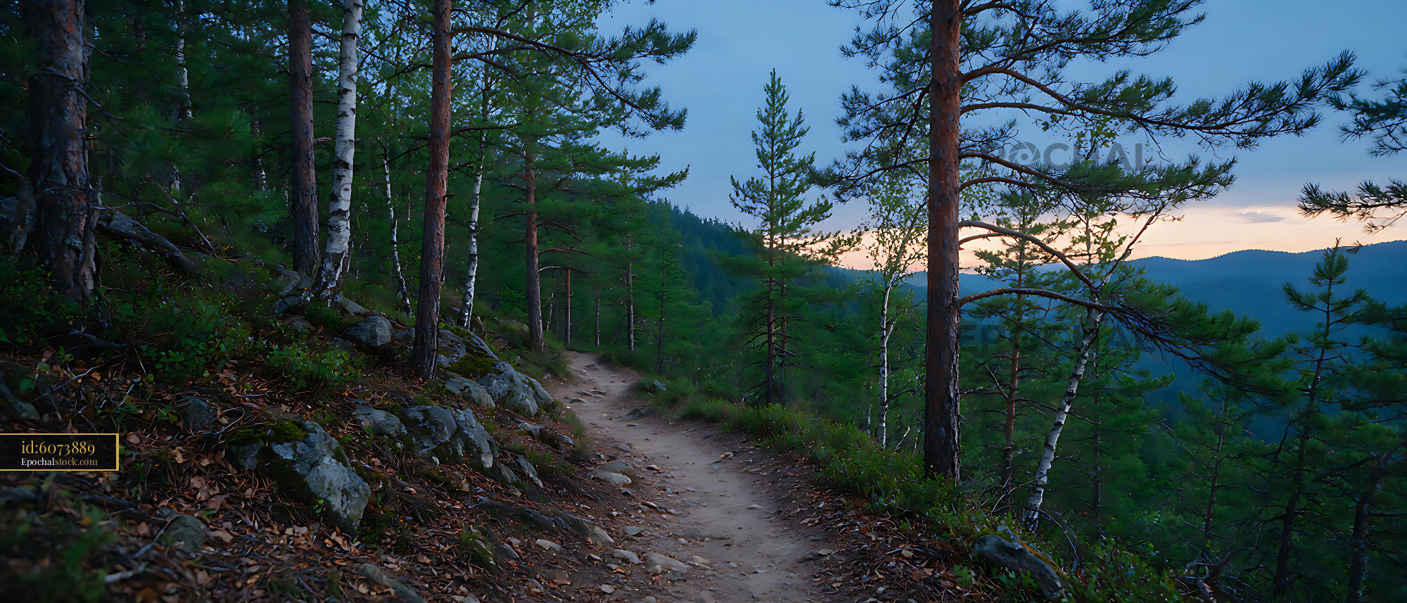 Watermarked full-resolution preview of Mountain Trail Through Pine Forest in Evening Light