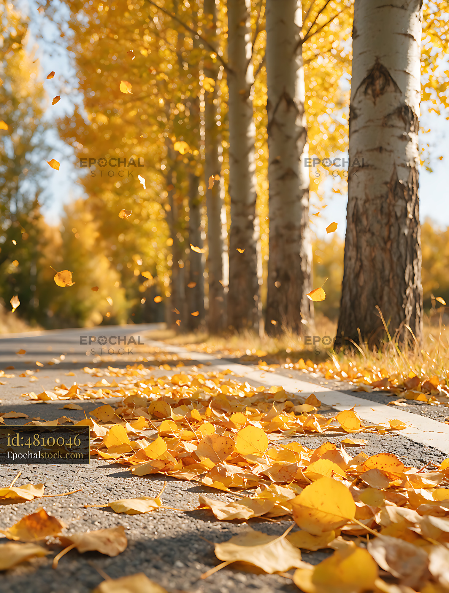 Watermarked full-resolution preview of Sunlit autumn path covered in golden leaves