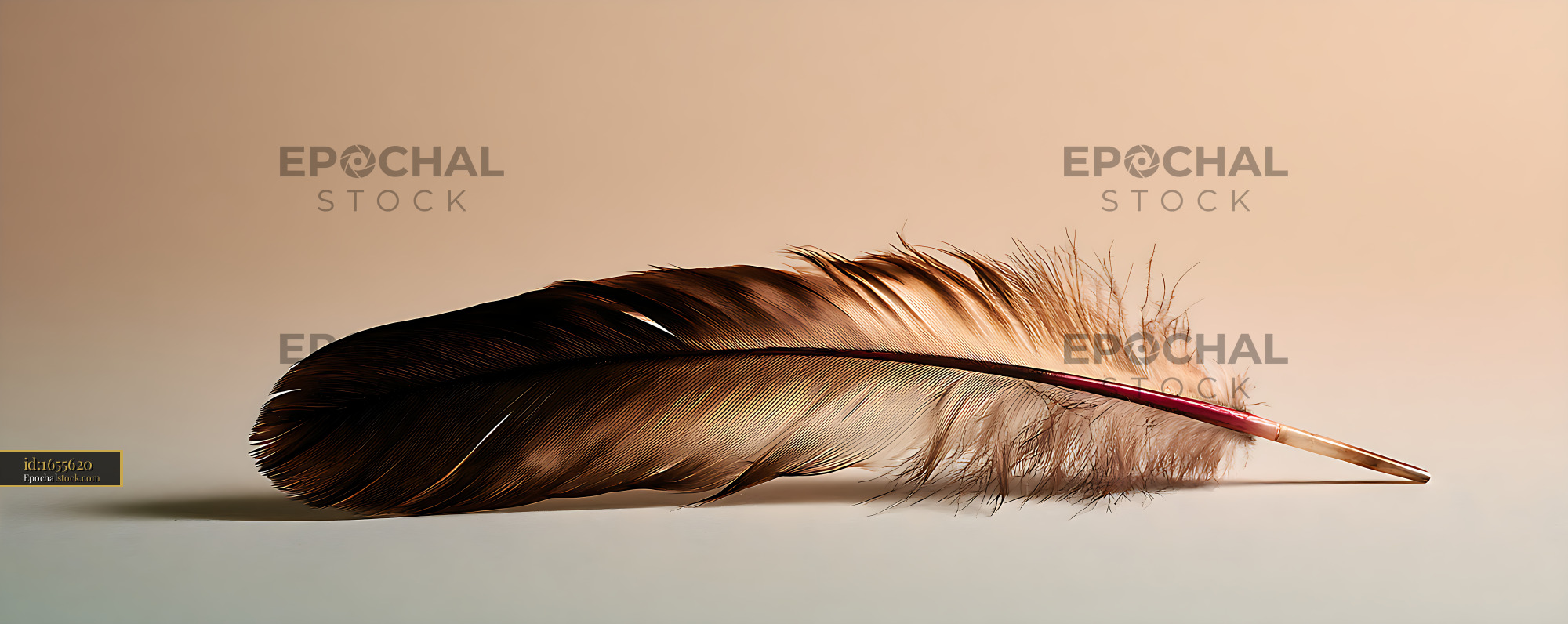 Watermarked full-resolution preview of Brown feather resting on a softly lit neutral background