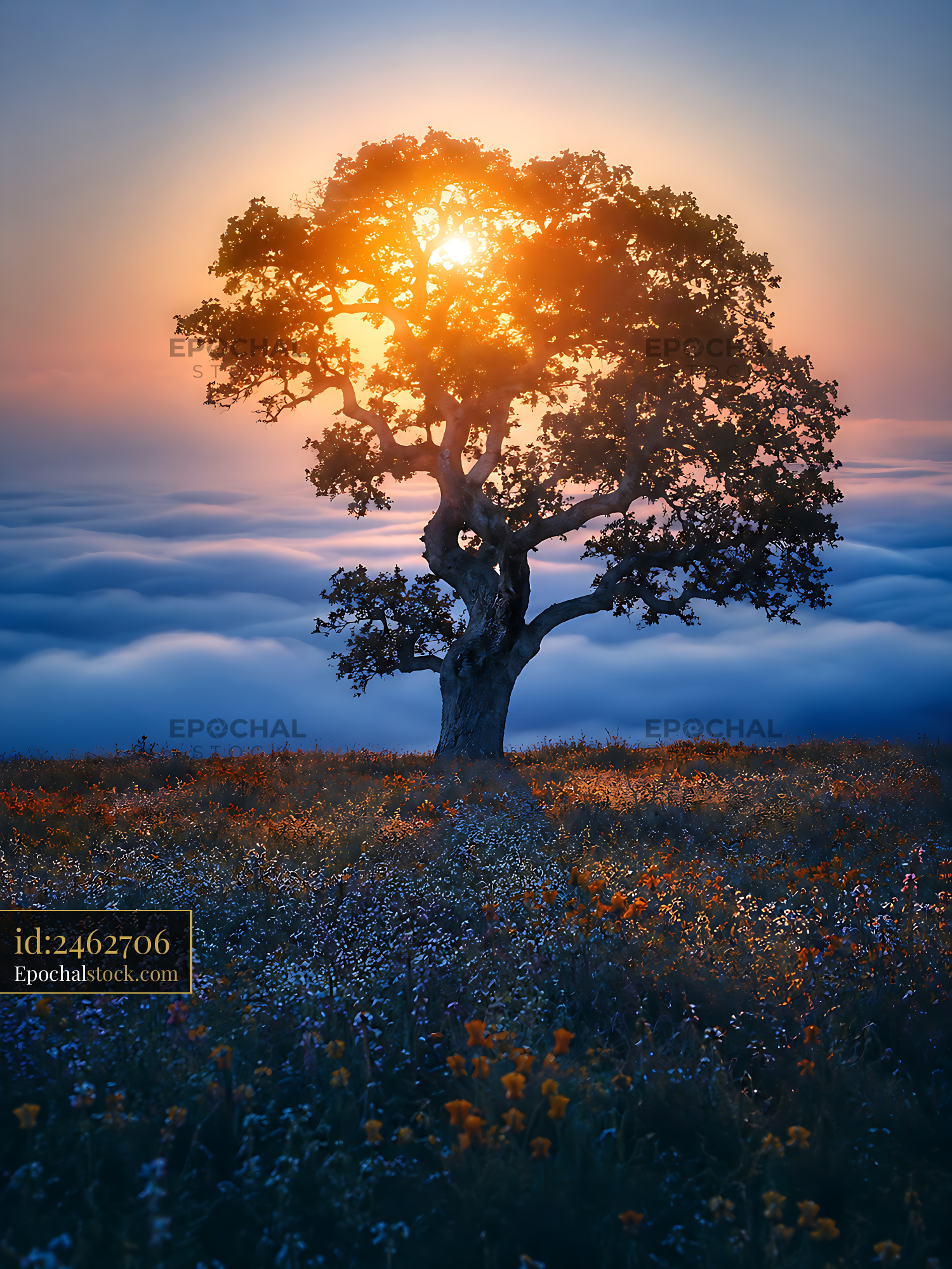 Tree Stands Against Sunset Sky Above Clouds With Flowers Below - stock photo