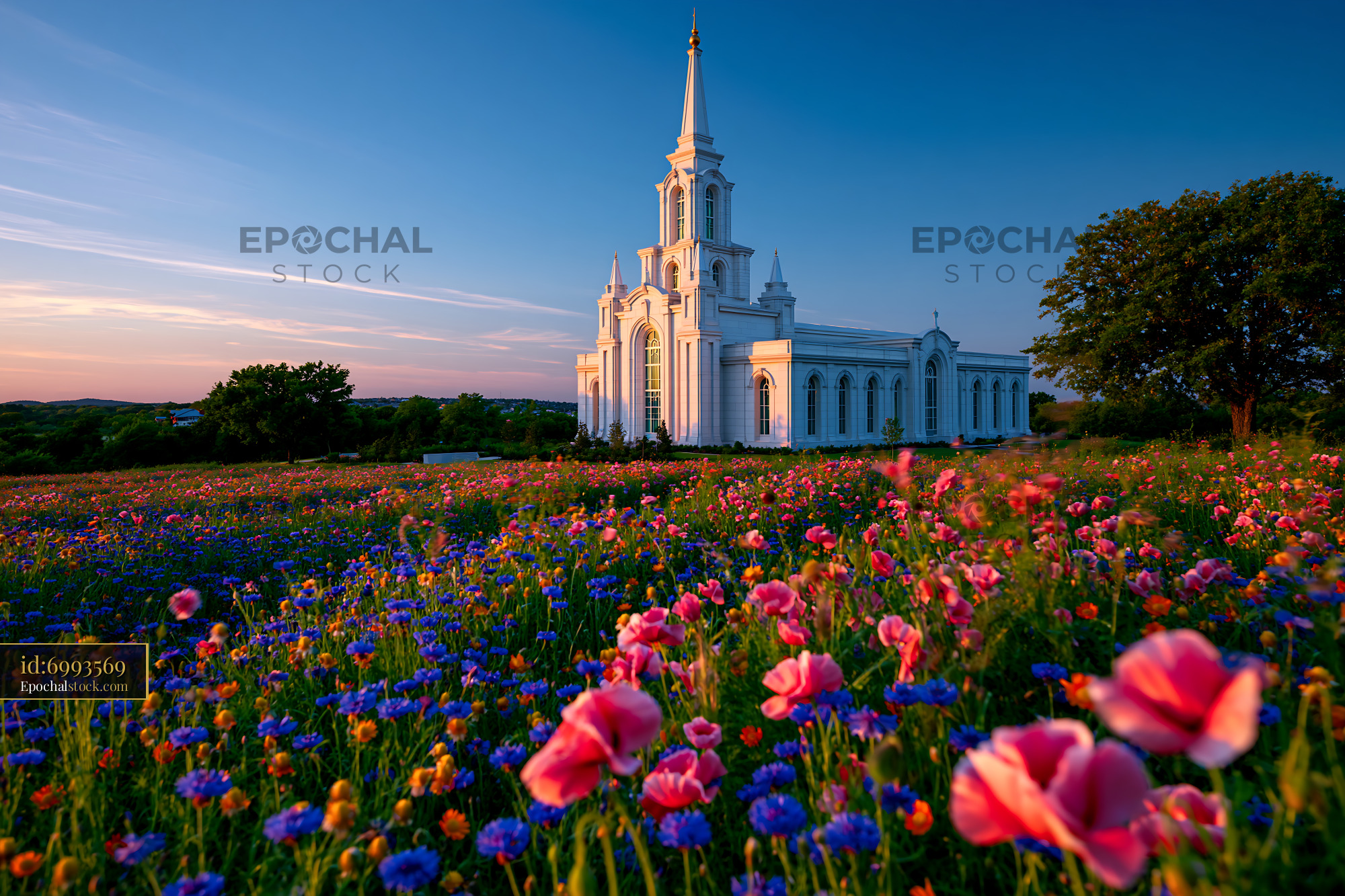 Watermarked full-resolution preview of Church surrounded by colorful flowers during sunset