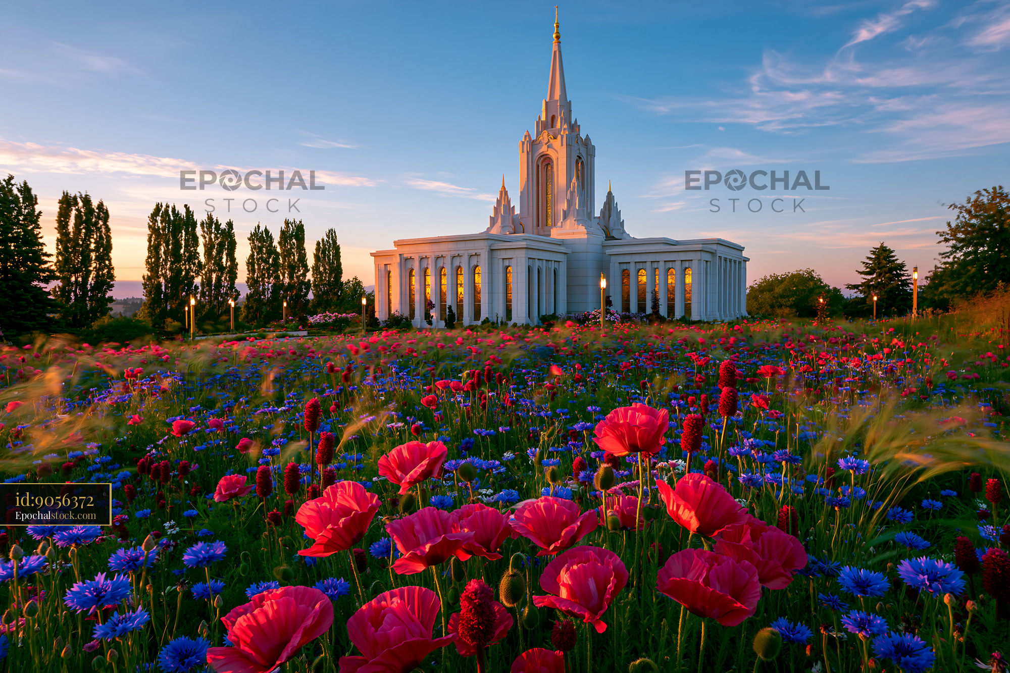 Watermarked full-resolution preview of Colorful flowers surround a large building during sunset