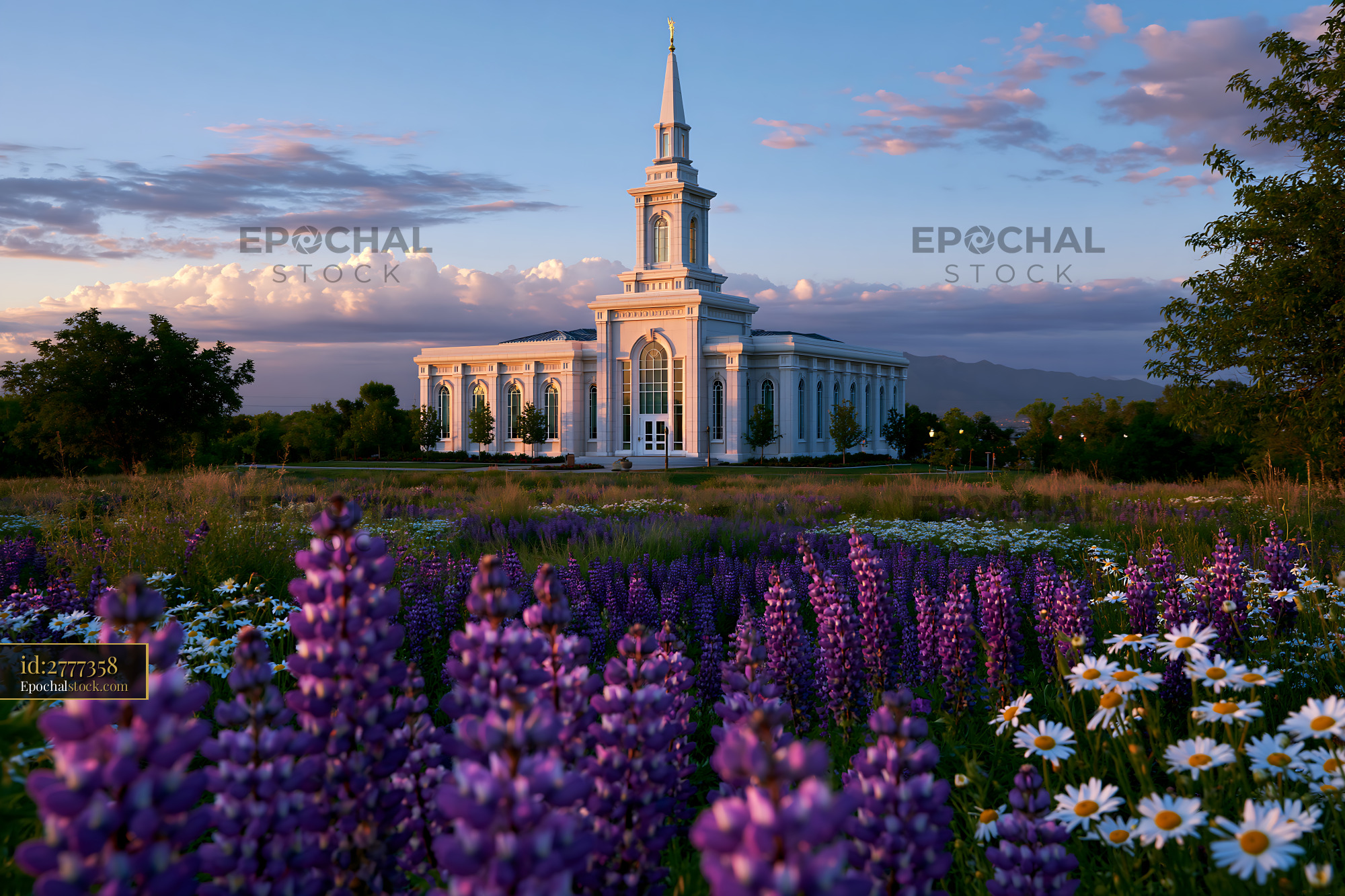 Watermarked full-resolution preview of Church building surrounded by flowers at sunset