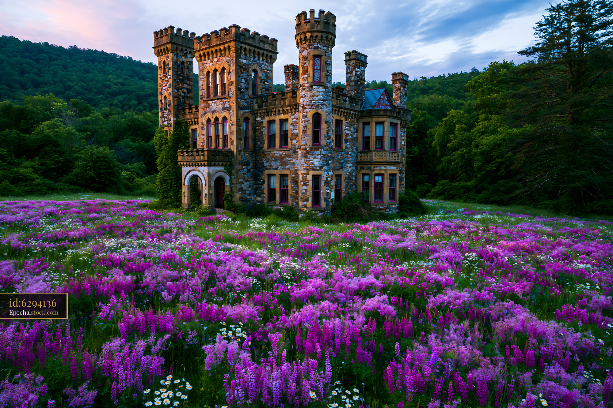 Watermarked full-resolution preview of Historic castle surrounded by colorful wildflowers in daylight