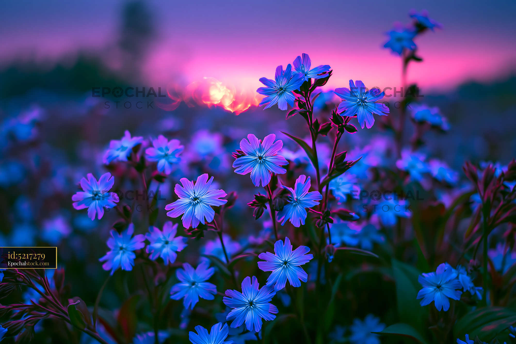 Watermarked full-resolution preview of Vibrant flowers under colorful sunset sky