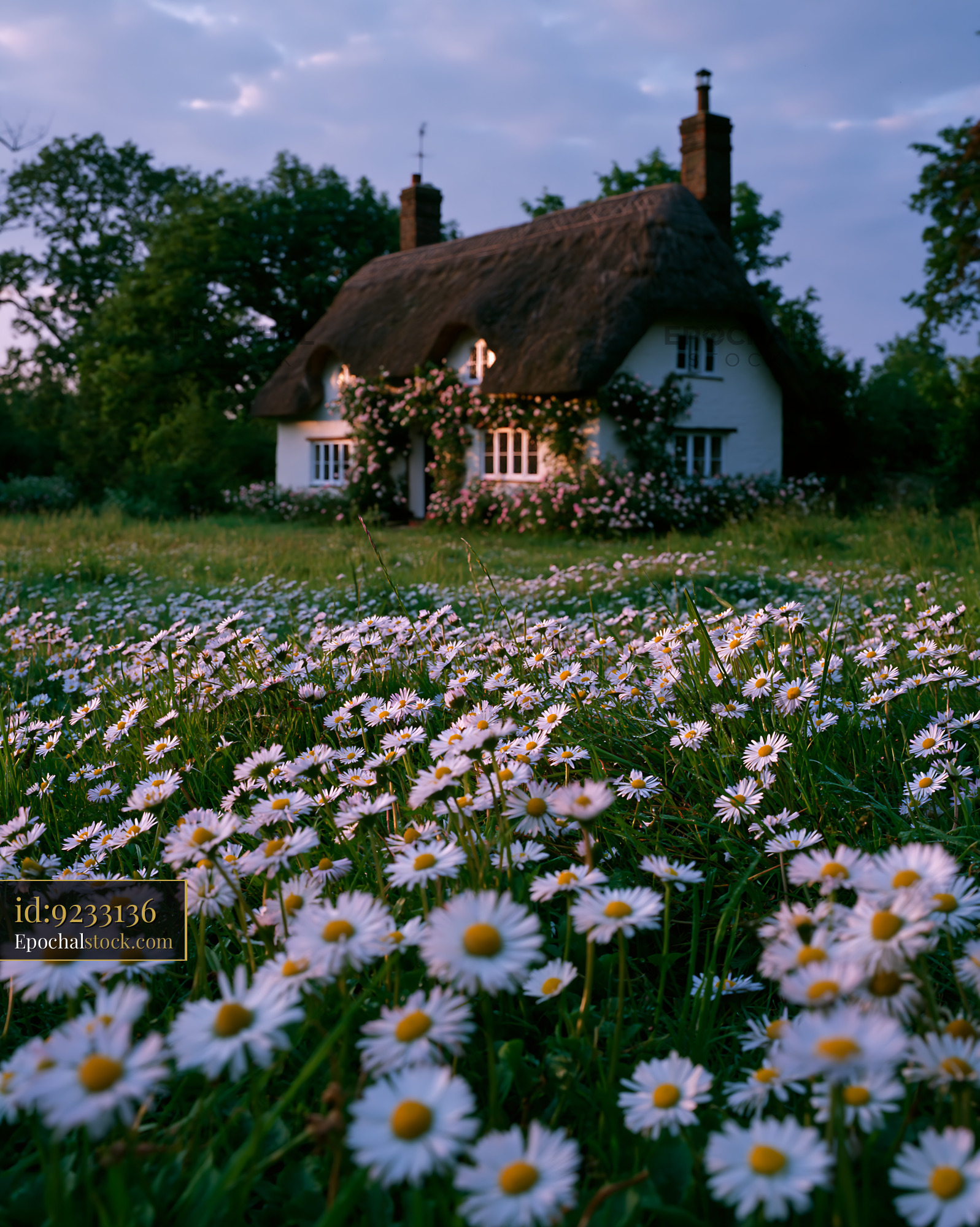 Watermarked full-resolution preview of Cottage surrounded by flowers at dusk in a rural setting