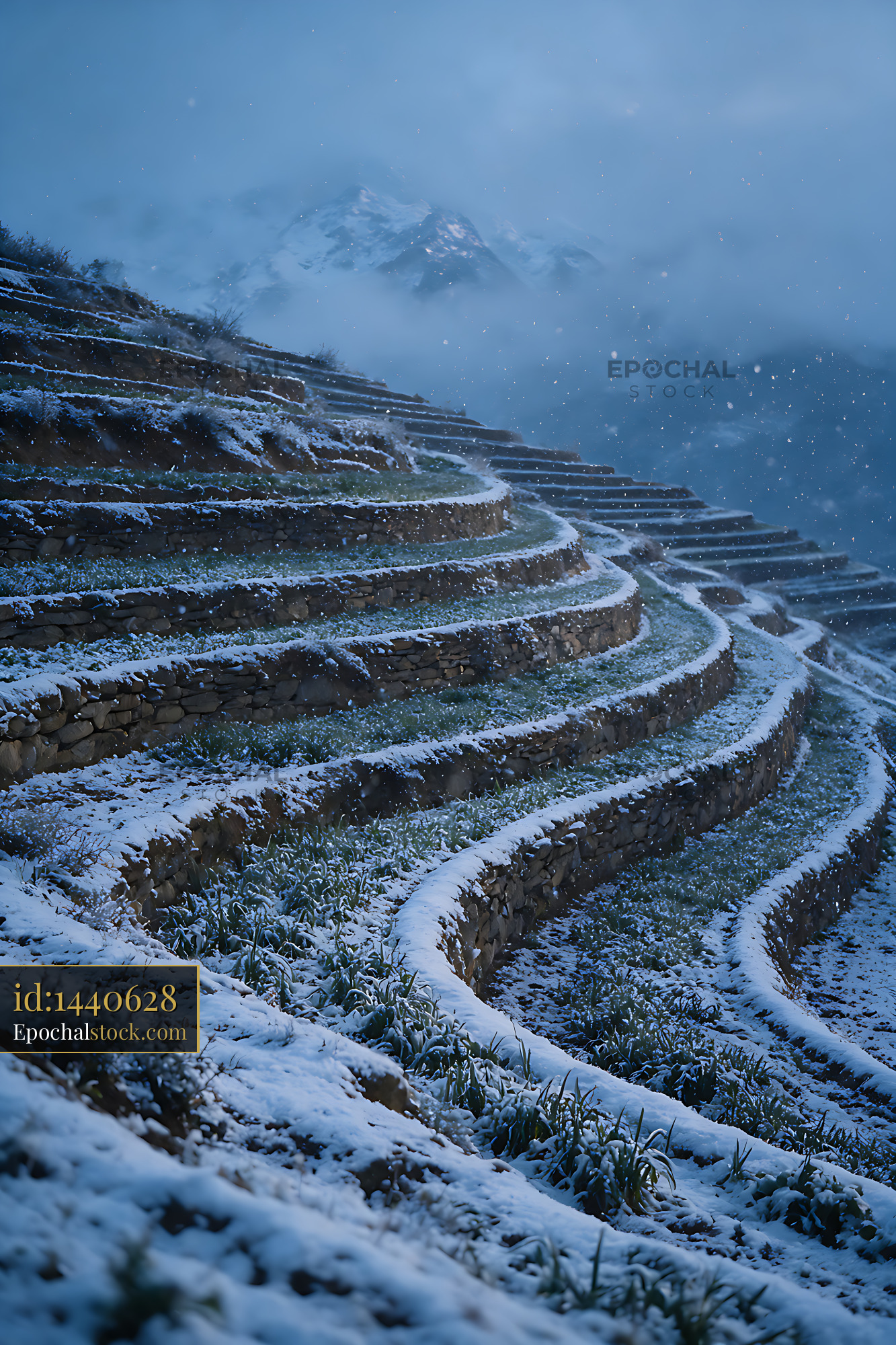 Watermarked full-resolution preview of Snowy mountain terraces in falling snow