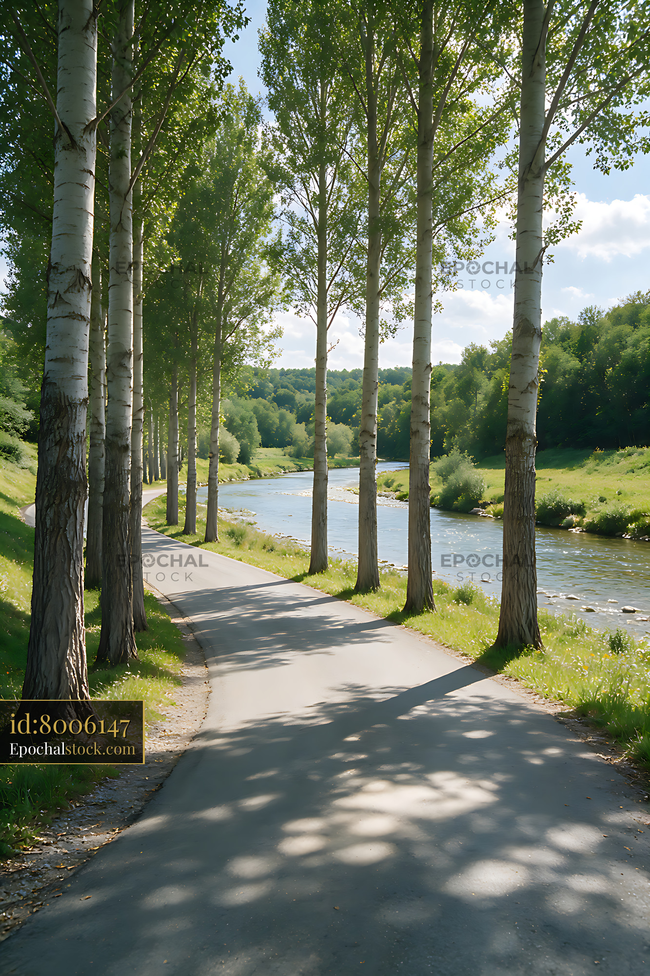 Watermarked full-resolution preview of Sunny riverside path lined with poplar trees