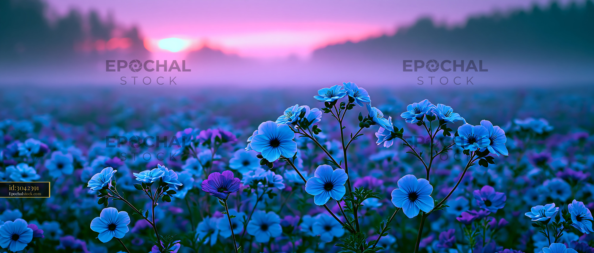 Watermarked full-resolution preview of Vibrant flowers bloom at sunset in a tranquil meadow