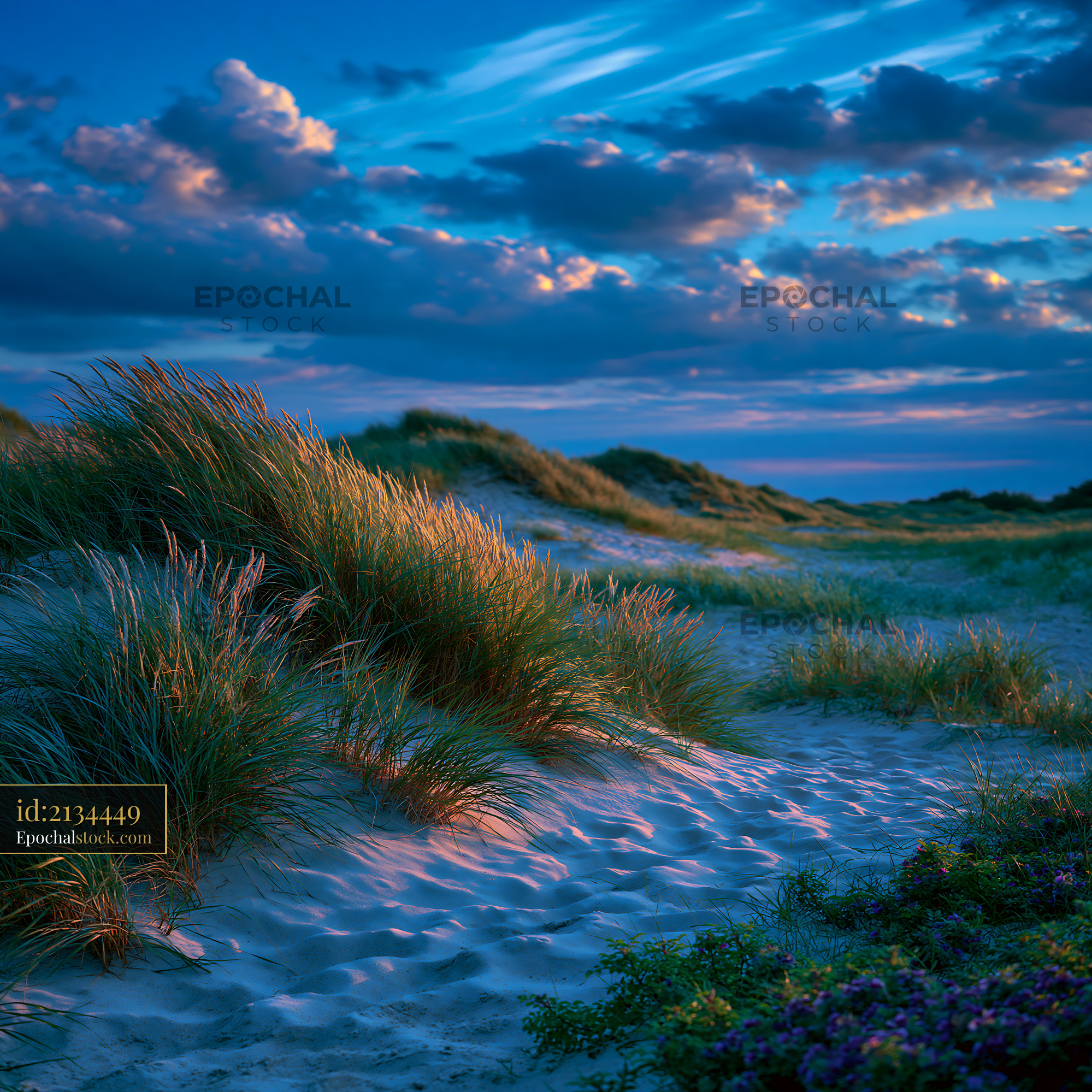 Watermarked full-resolution preview of Sunset over sand dunes with grass and clouds