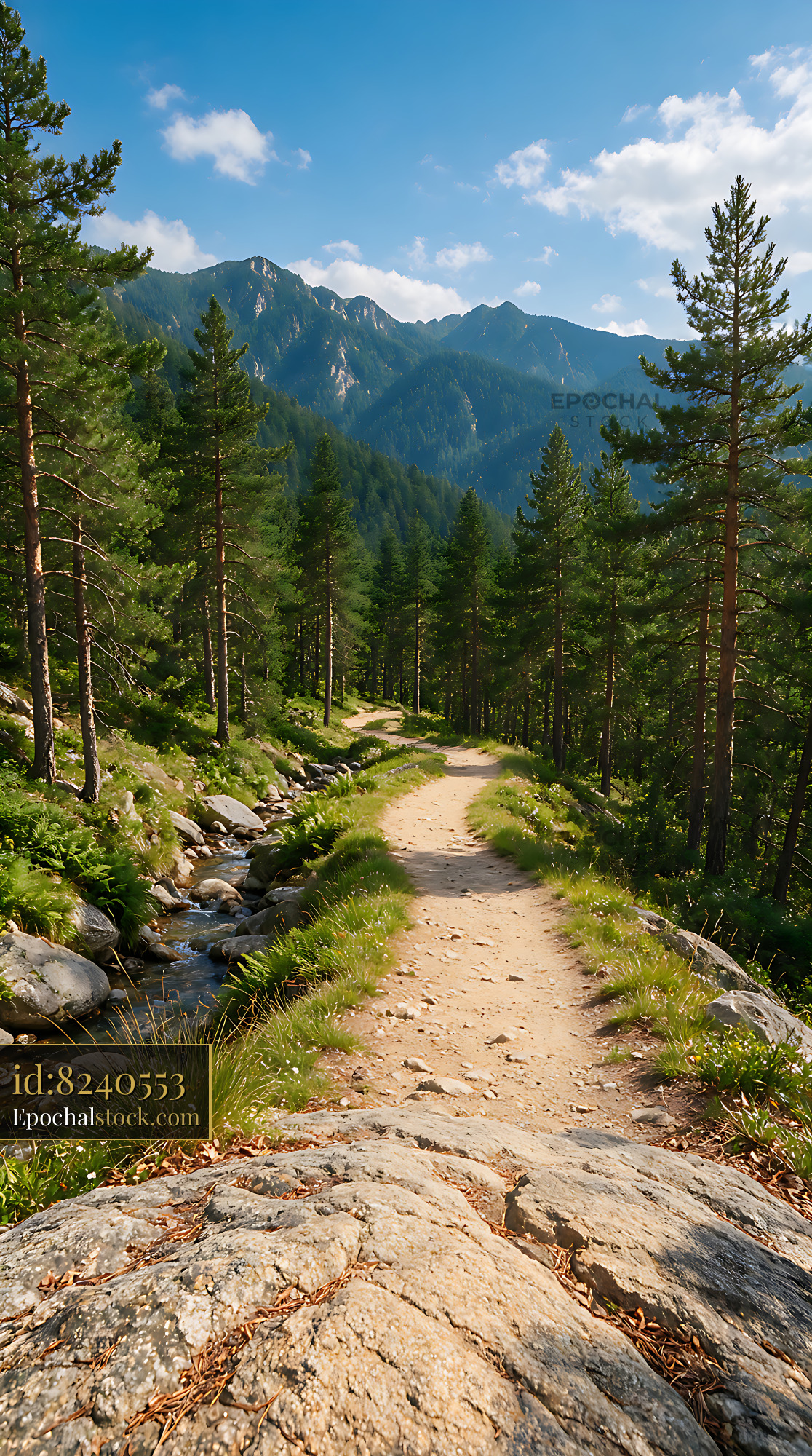 Watermarked full-resolution preview of Scenic Mountain Trail and Pine Forest Landscape