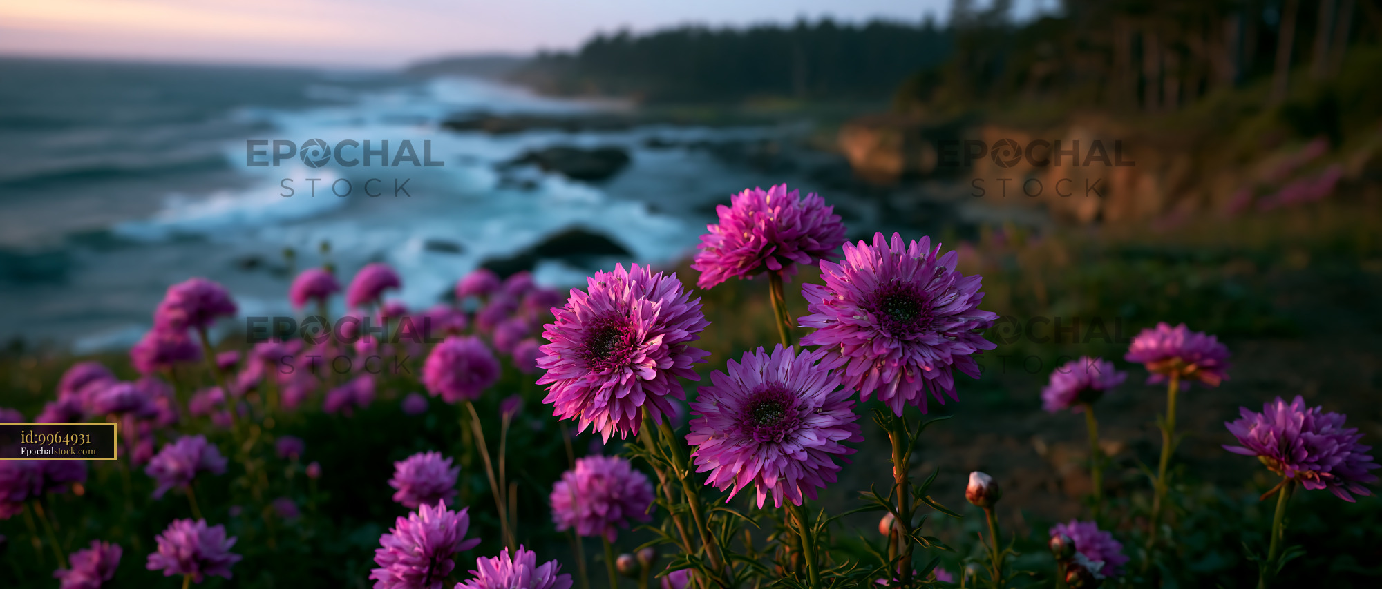 Watermarked full-resolution preview of Coastal flowers blooming near the shore at sunset