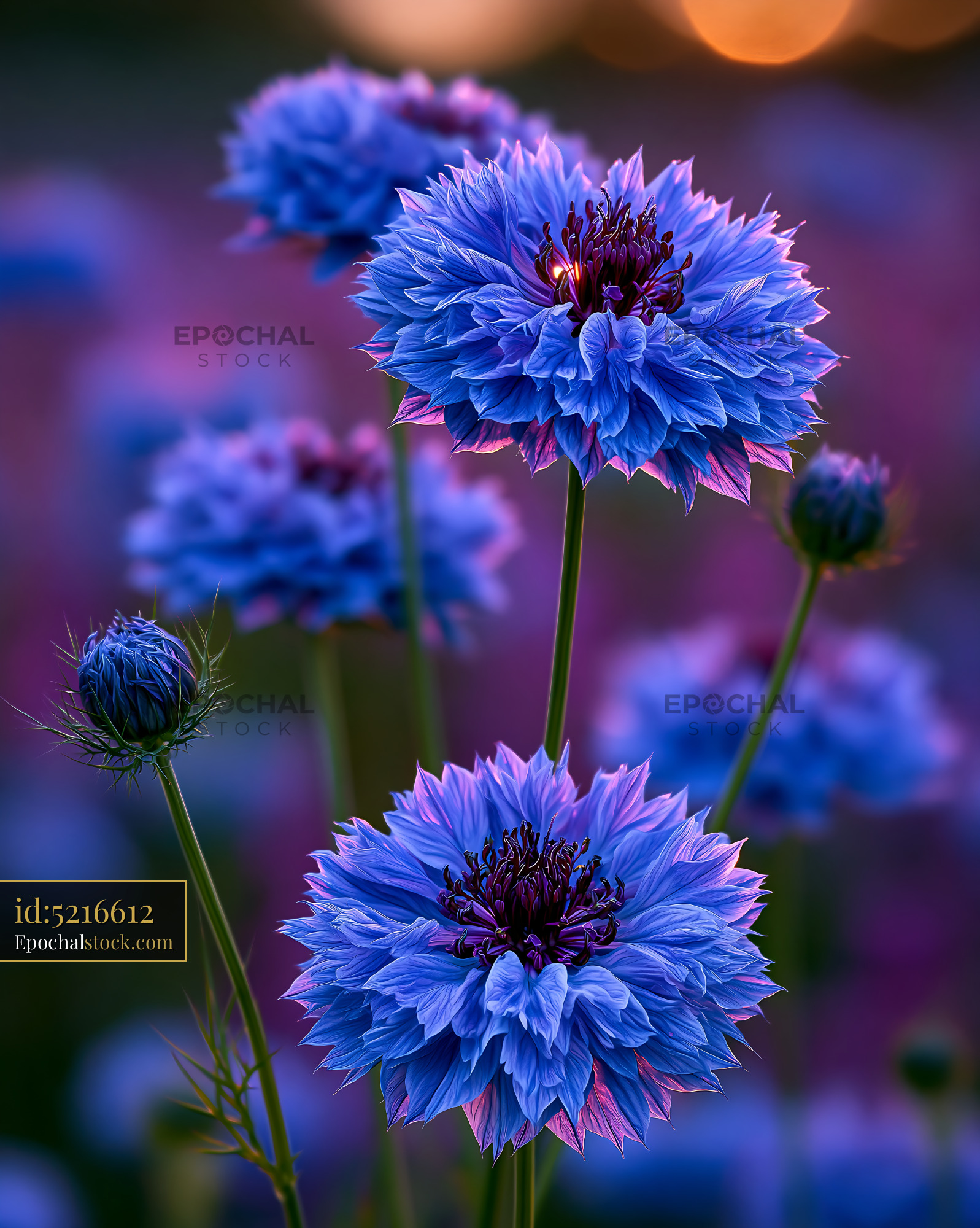 Watermarked full-resolution preview of Vibrant blue flowers blooming in a colorful meadow