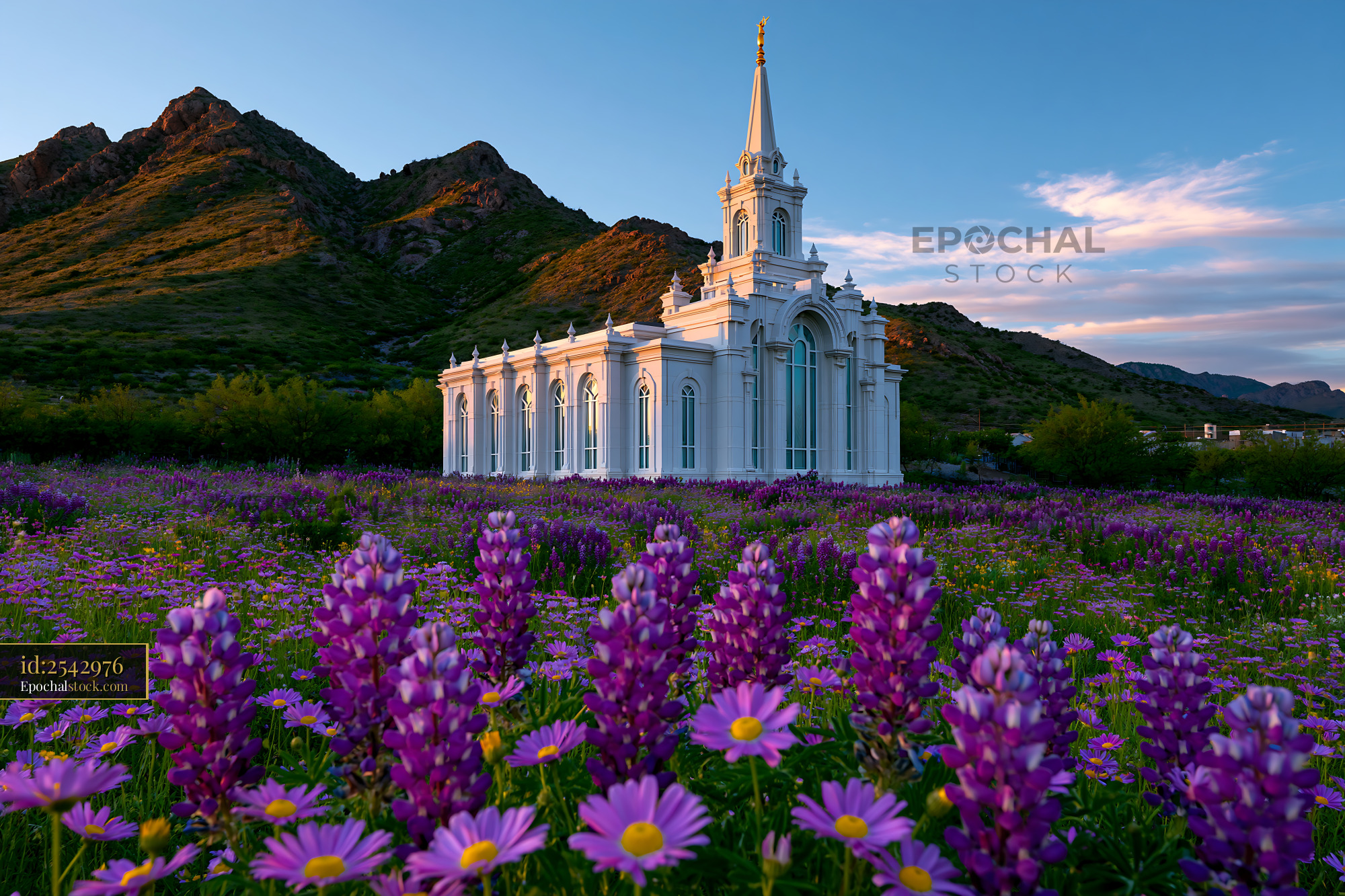 Watermarked full-resolution preview of Church surrounded by purple flowers and mountains at sunset