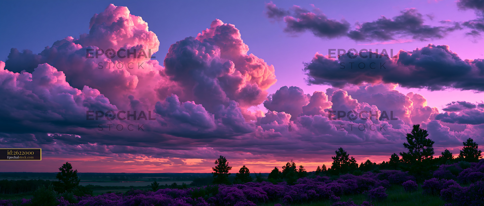 Watermarked full-resolution preview of Vivid purple sunset sky with towering clouds and flowering shrubs
