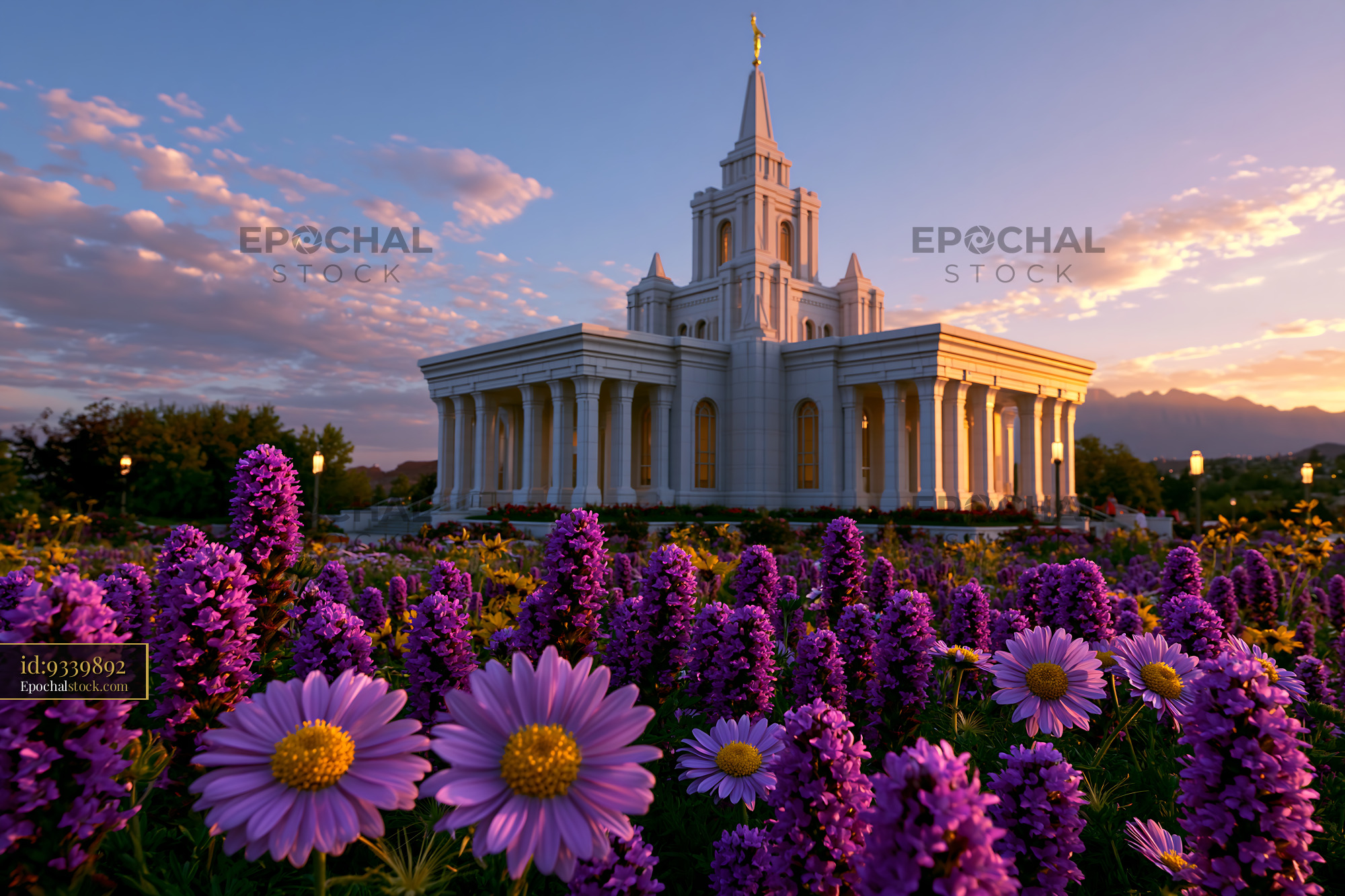 Watermarked full-resolution preview of Flowers in front of a large white building during sunset