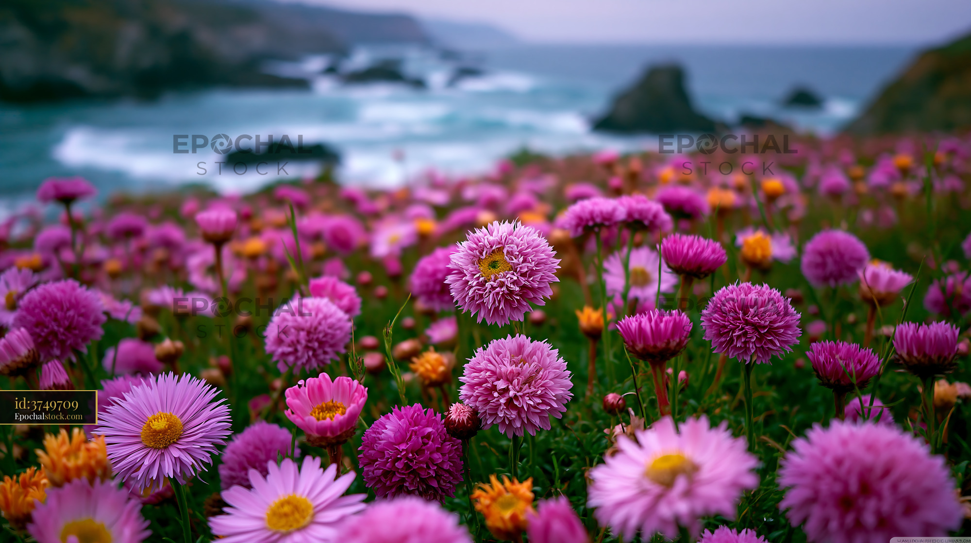 Watermarked full-resolution preview of Flowers blooming near the ocean with waves in the background