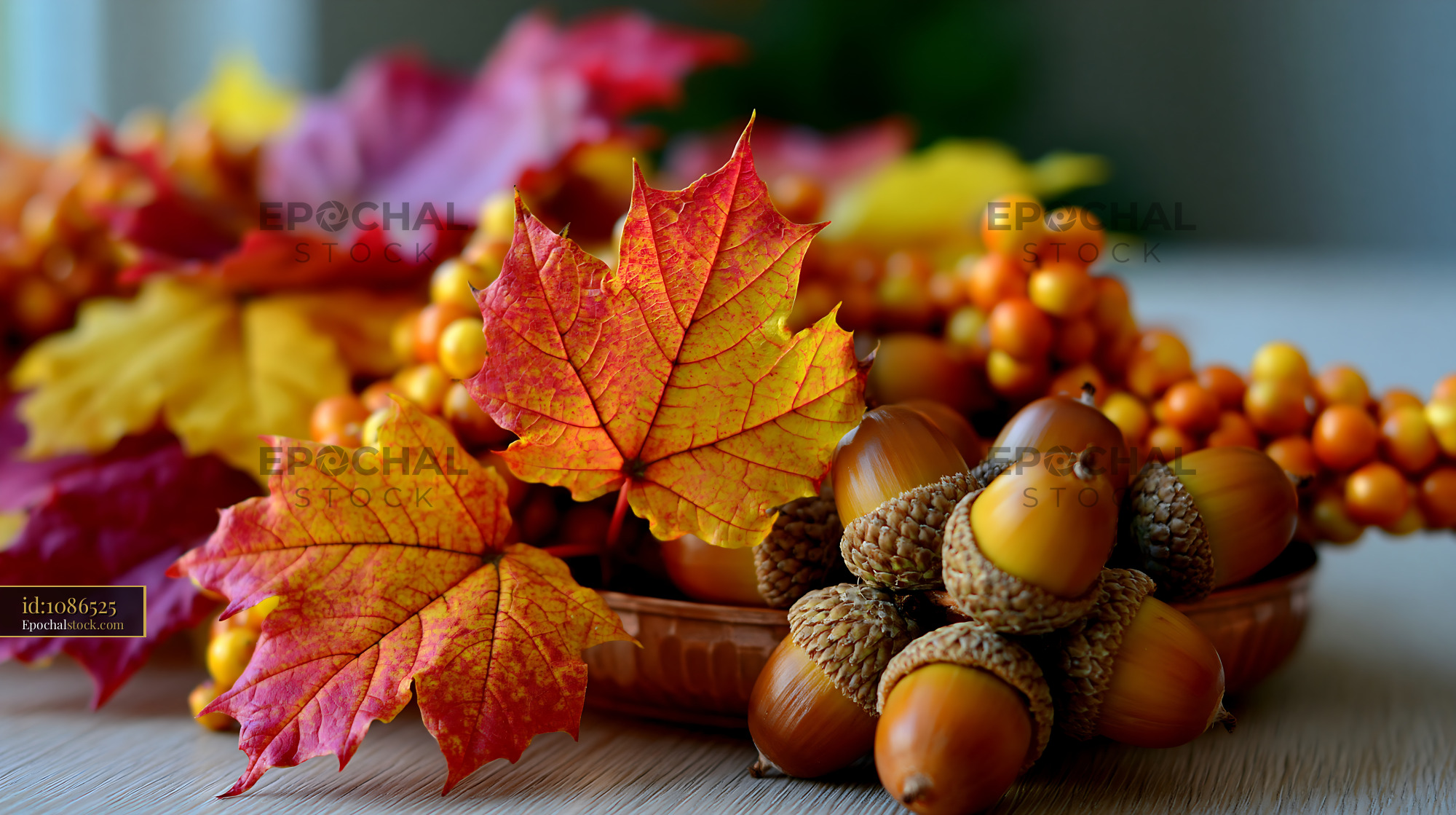 Watermarked full-resolution preview of Colorful fall leaves and acorns in a seasonal arrangement