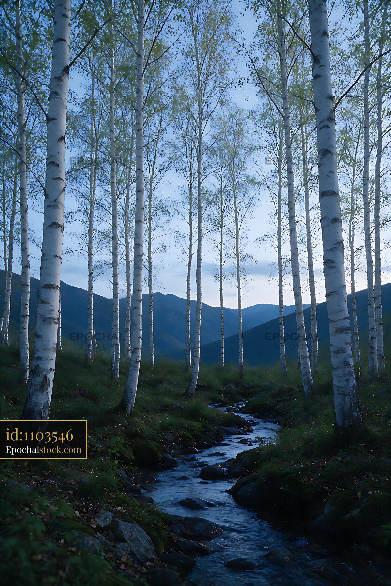 Watermarked full-resolution preview of Mountain stream flowing through birch woodland