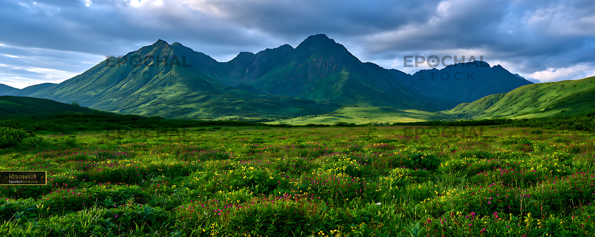 Watermarked full-resolution preview of Lush Wildflower Meadow with Green Mountain Peaks