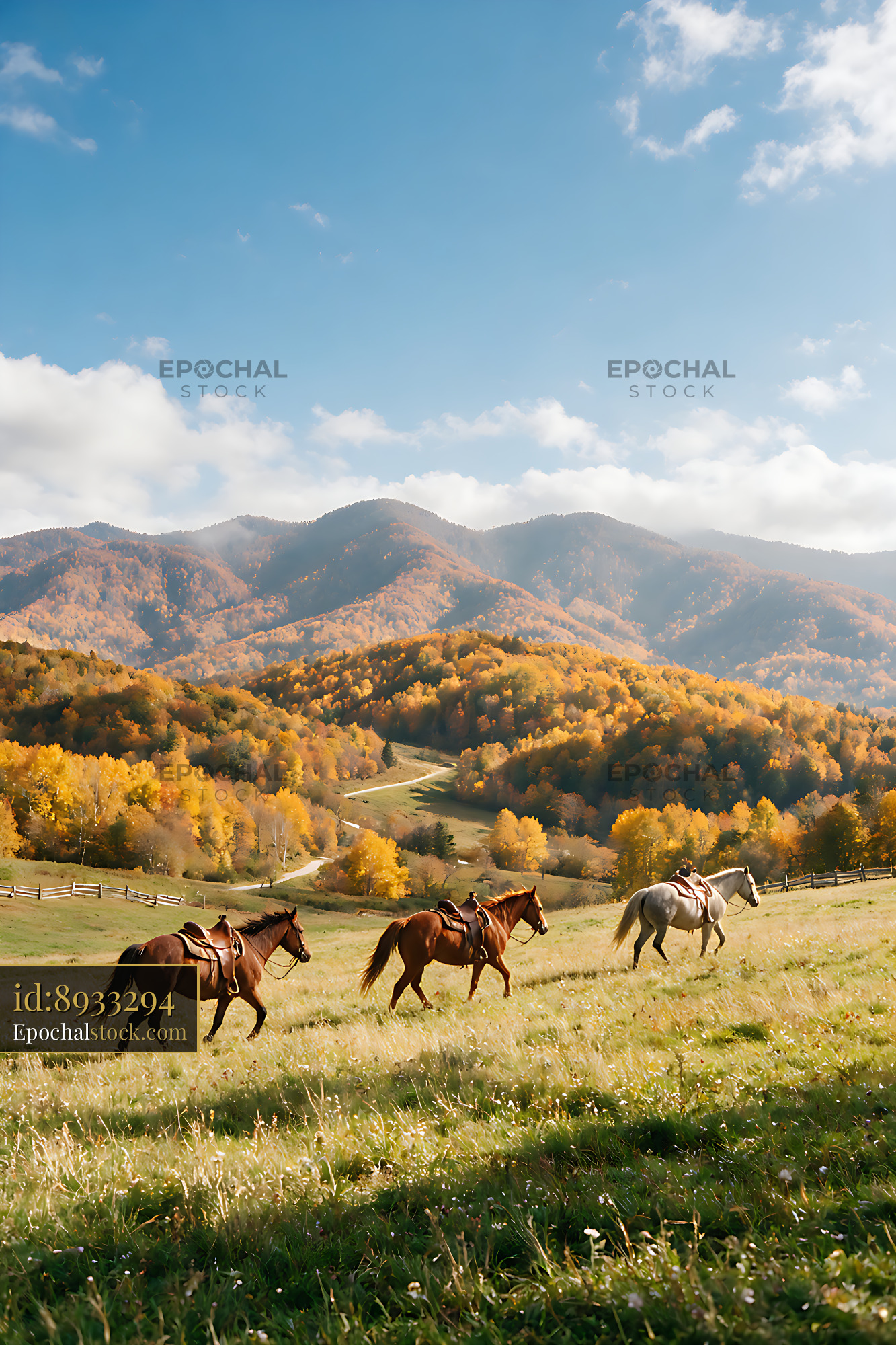 Watermarked full-resolution preview of Three riders on horseback in a mountain meadow