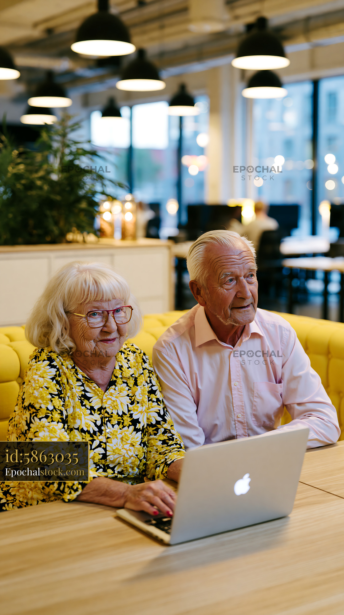 Watermarked full-resolution preview of Elderly couple using laptop in modern office setting
