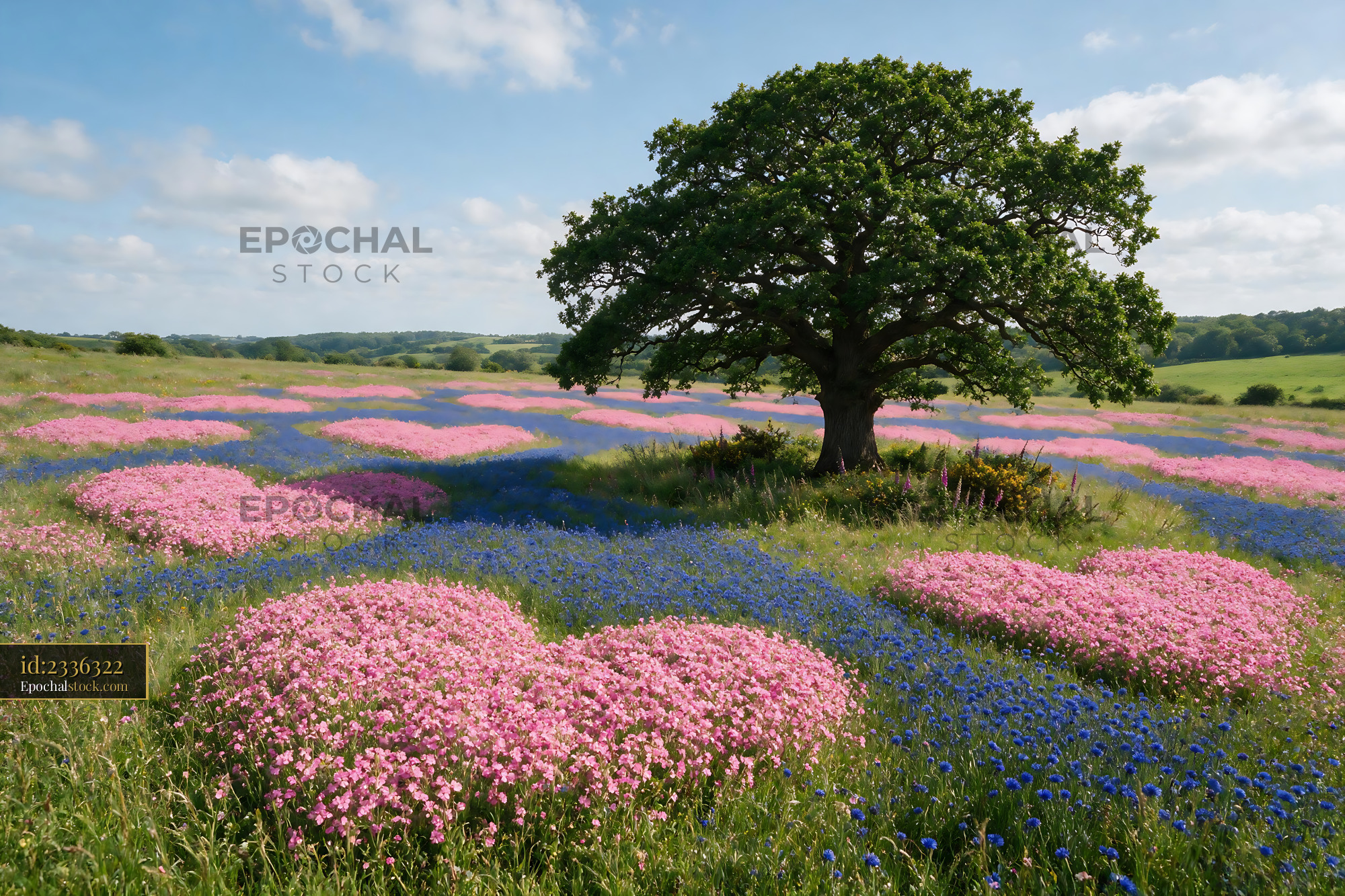 Watermarked full-resolution preview of Heart-shaped flower patterns in a field with a lone tree