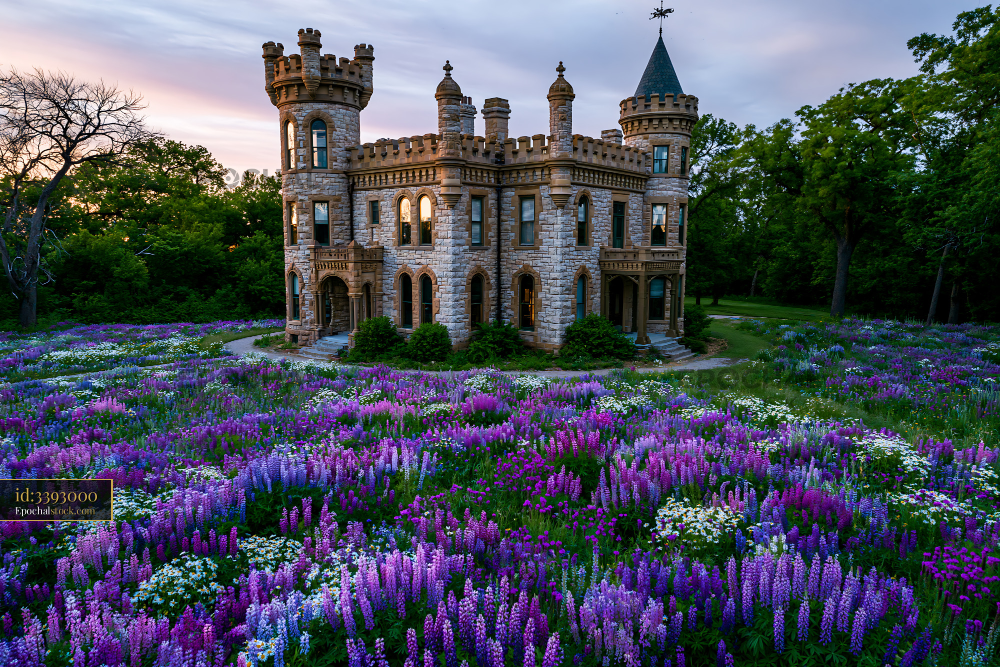 Castle Surrounded by Blooming Wildflowers at Sunset - stock photo