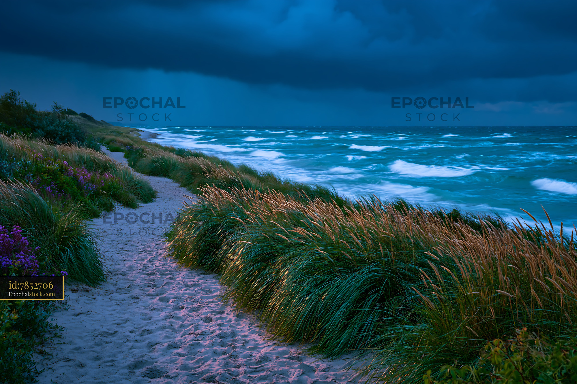Watermarked full-resolution preview of Stormy beach scene with grass and waves during twilight