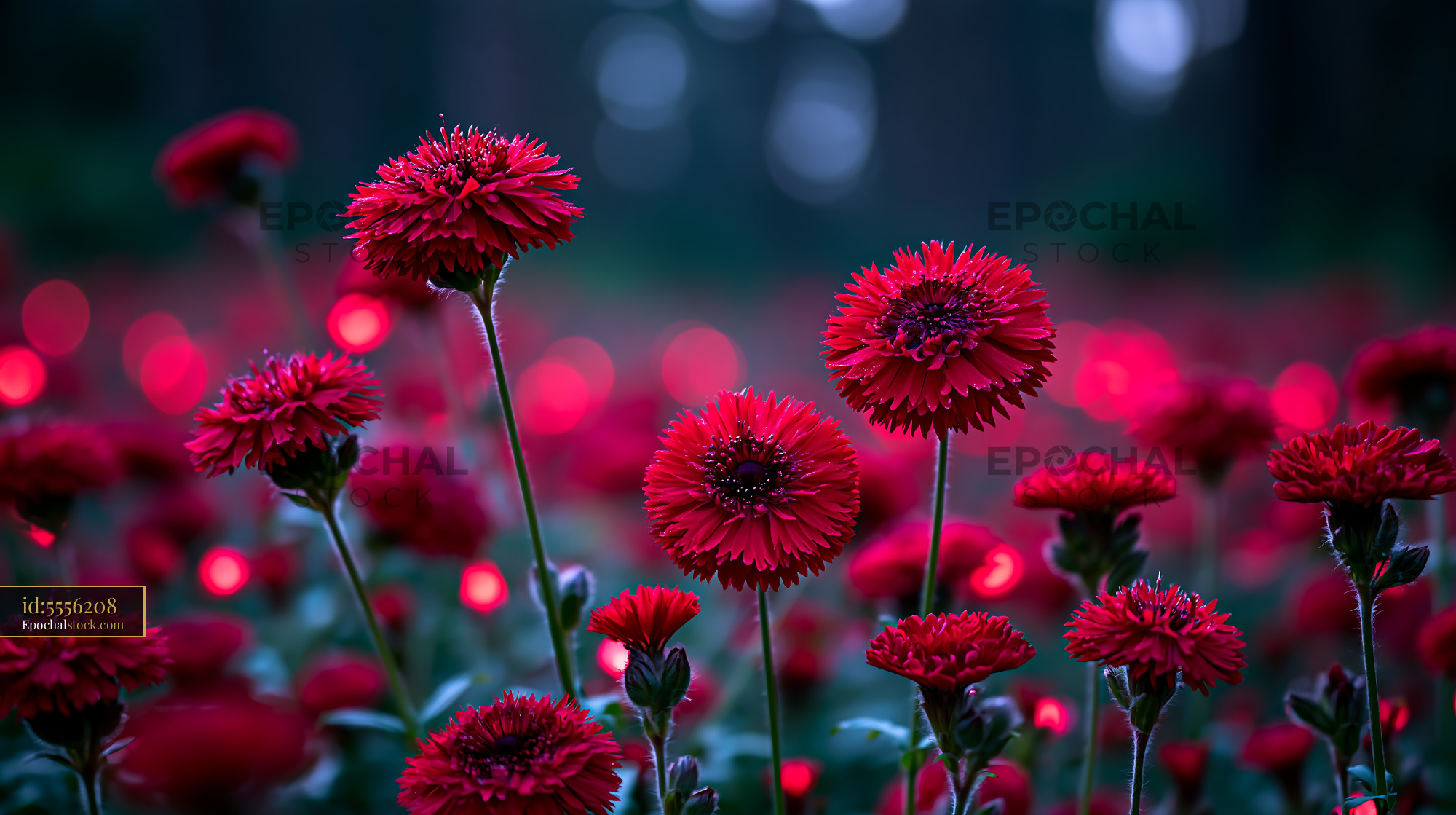 Watermarked full-resolution preview of Vibrant red flowers bloom in a dark forest setting