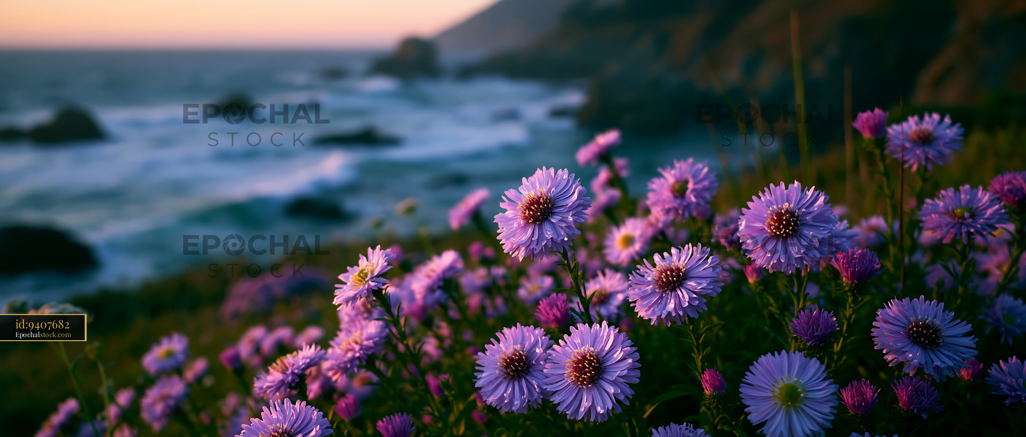 Watermarked full-resolution preview of Wildflowers near the ocean at sunset on a coastal cliff