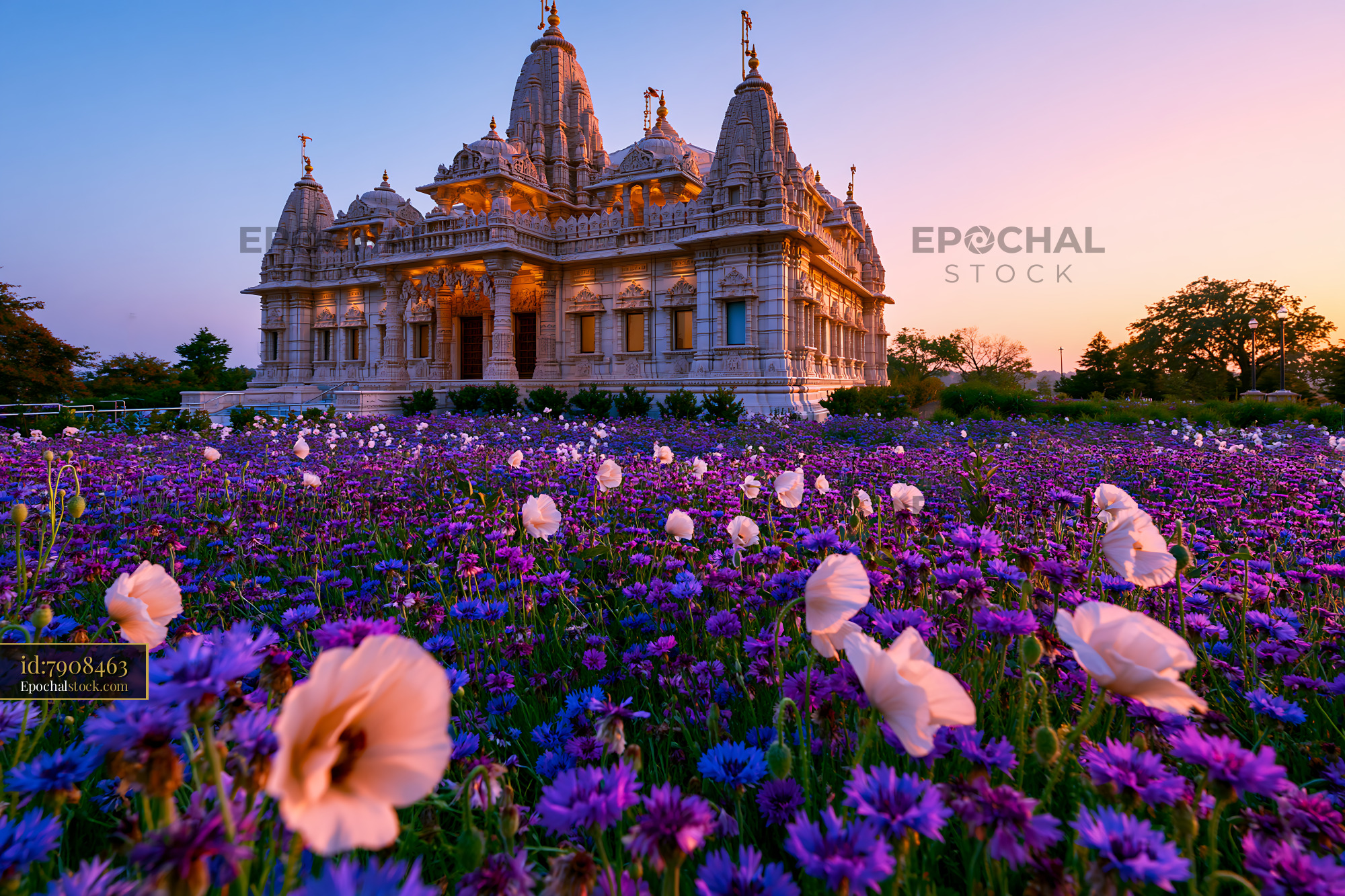 BAPS Swaminarayan Mandir in Flowers at Sunset in India - stock photo