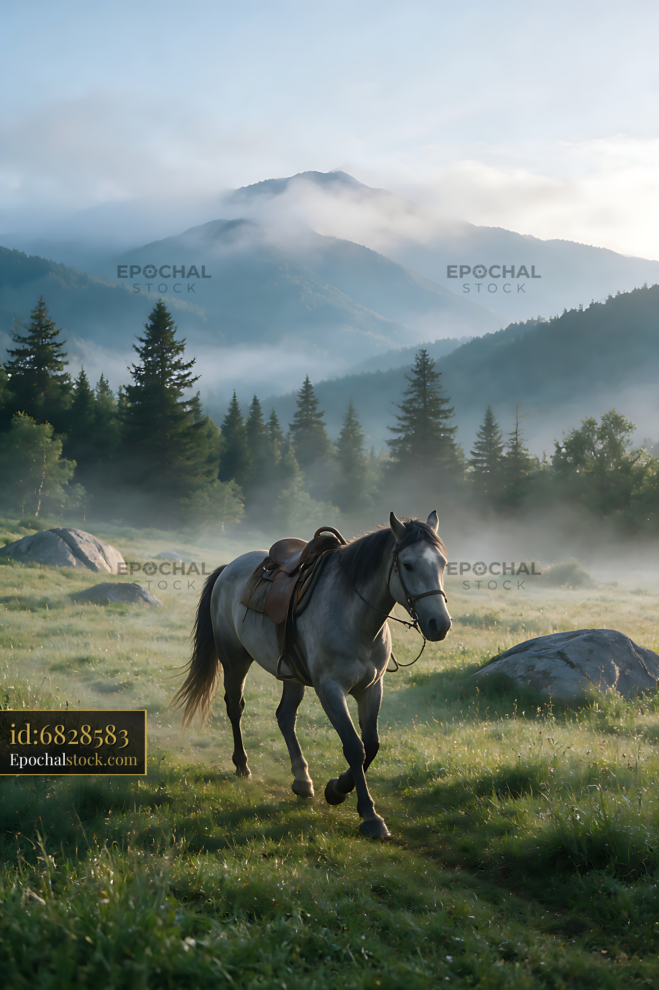 Watermarked full-resolution preview of Saddled horse walking in a misty alpine meadow
