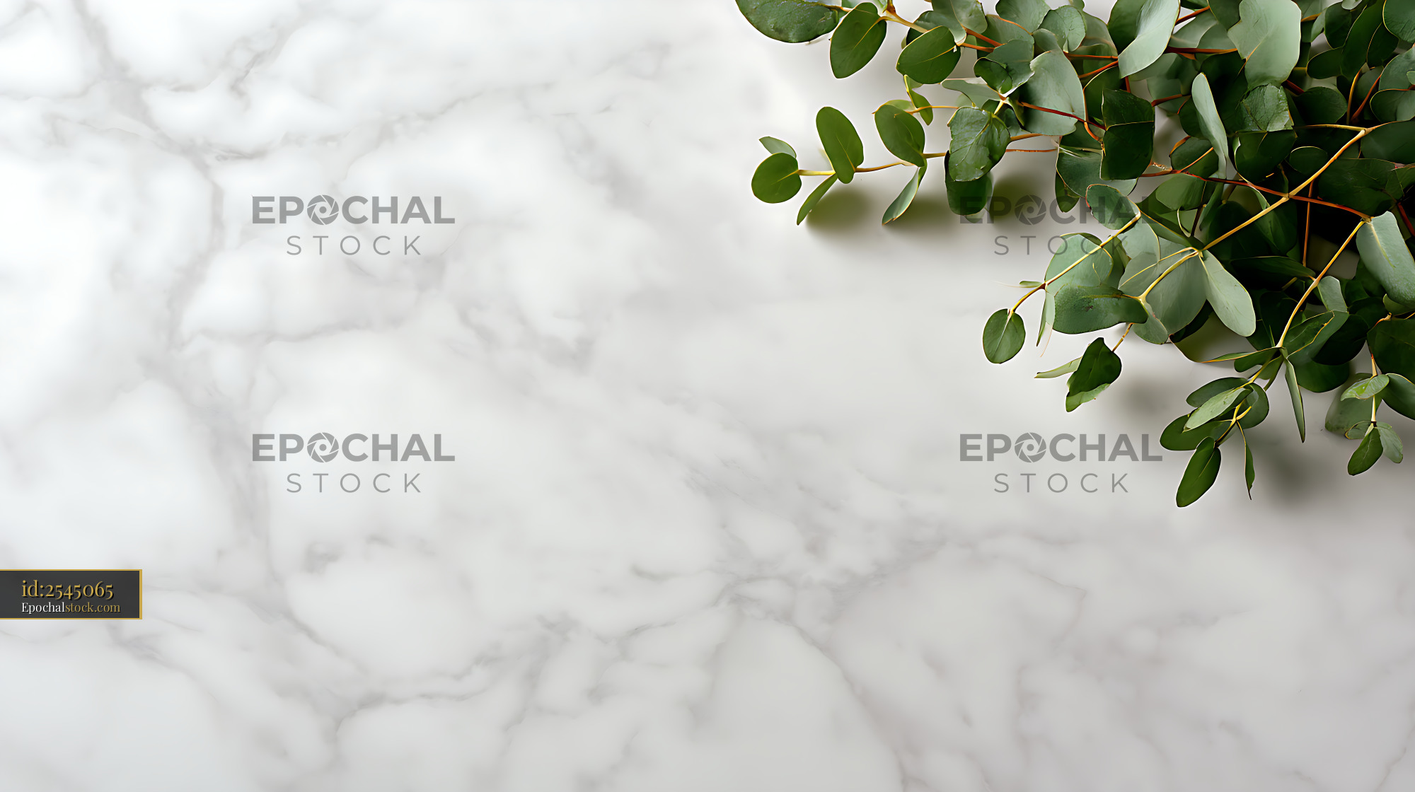 Watermarked full-resolution preview of Green eucalyptus foliage over white marble surface
