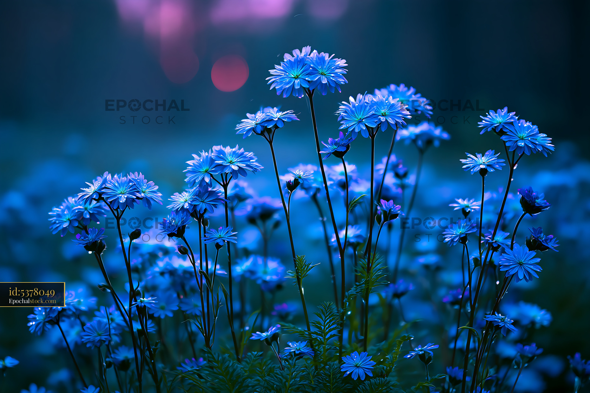 Watermarked full-resolution preview of Blooming blue flowers in a dimly lit meadow at dusk