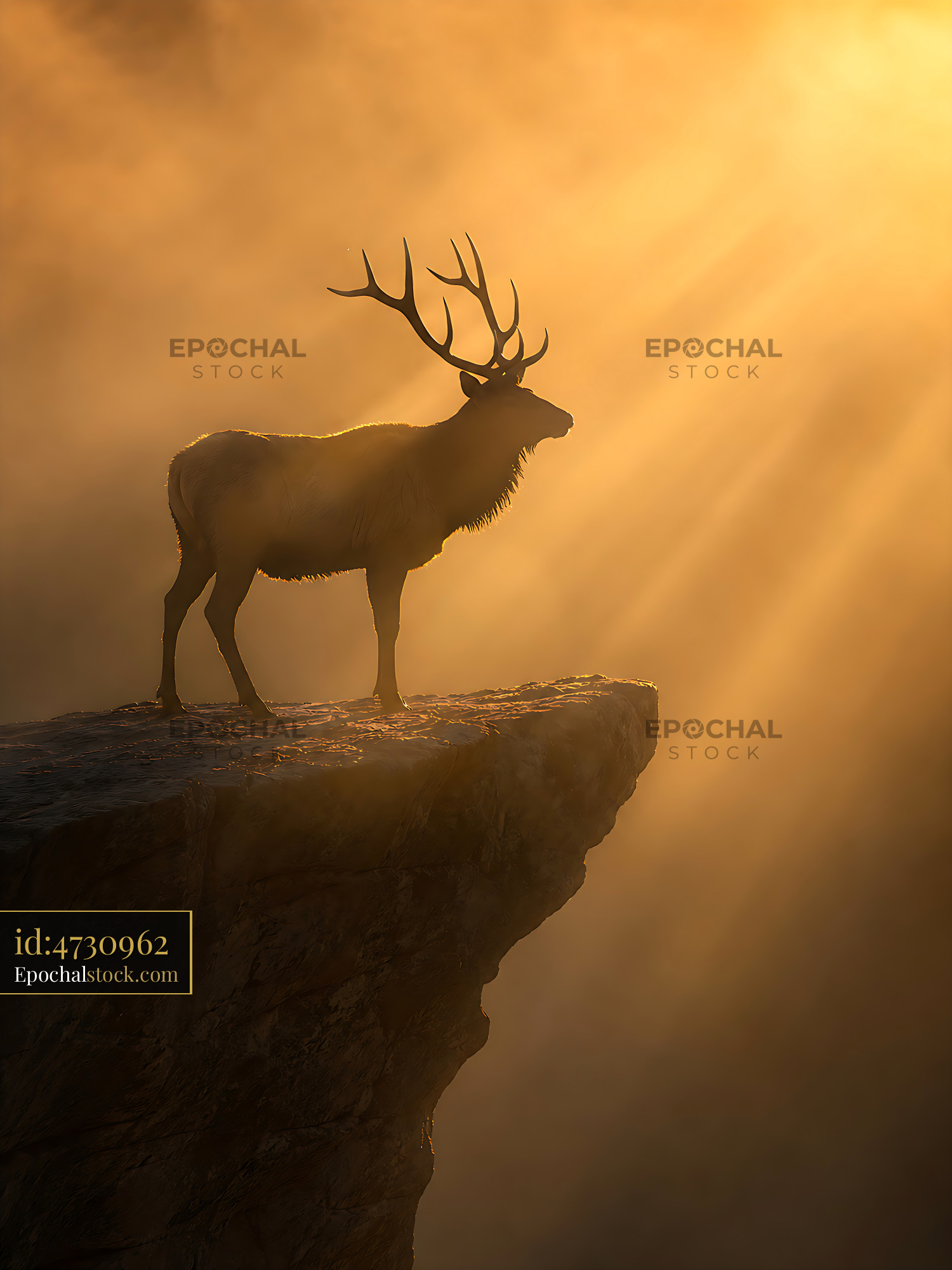 Deer Stands on Cliff as Sunlight Breaks Through Fog - stock photo
