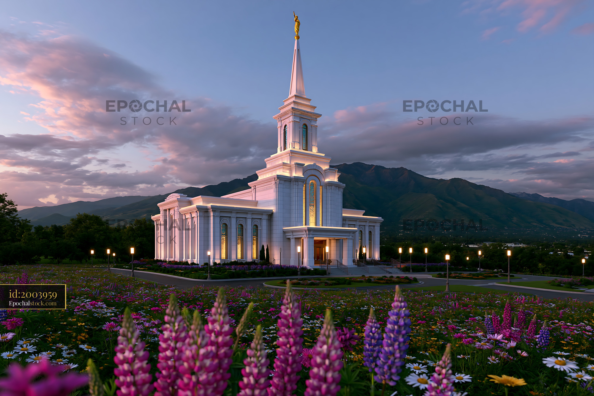 Watermarked full-resolution preview of Sunset view of a temple surrounded by flowers in a natural setting
